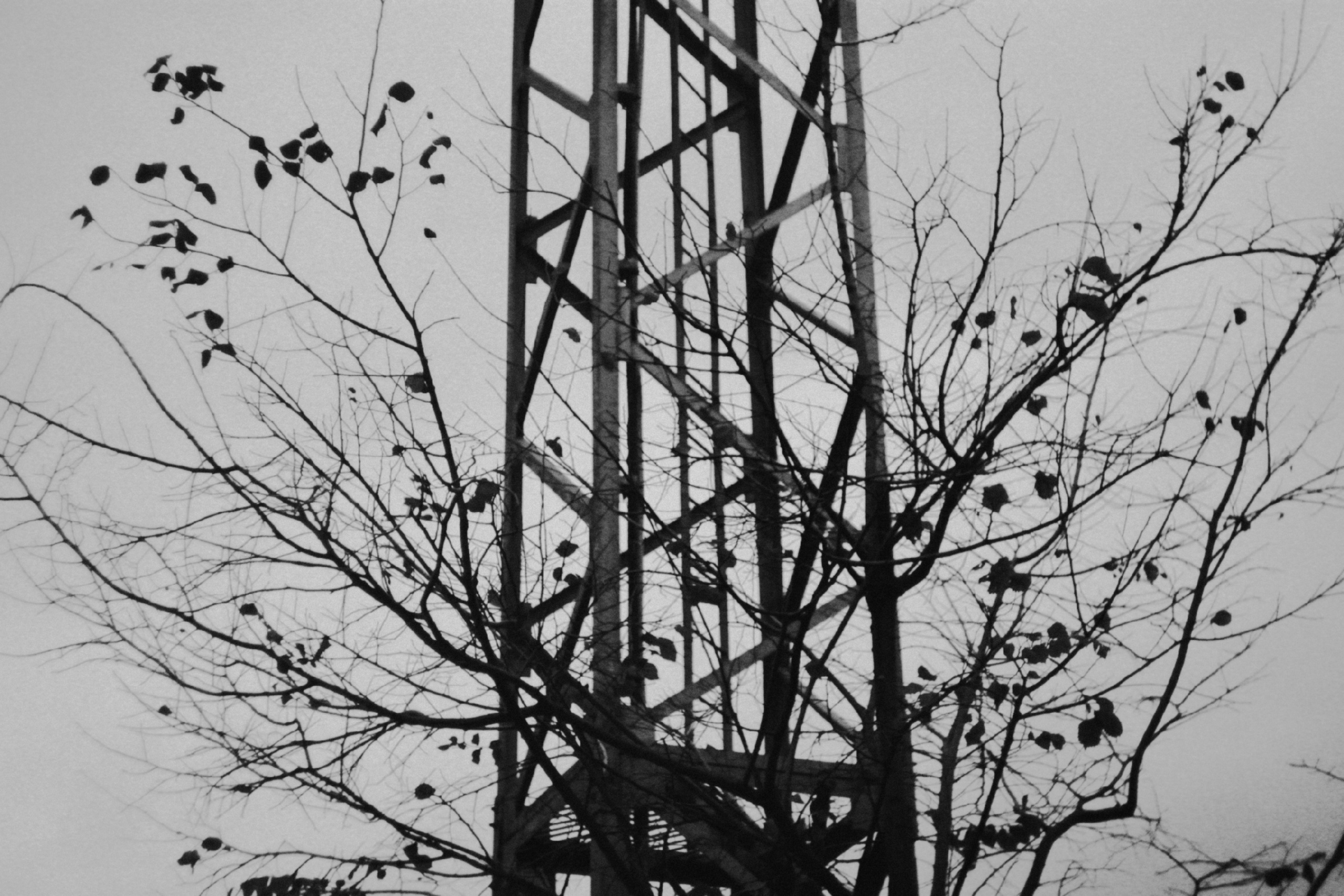 Стадион «Водник». Фотограф в Санкт-Петербурге и Нижнем Новгороде Яна Титова