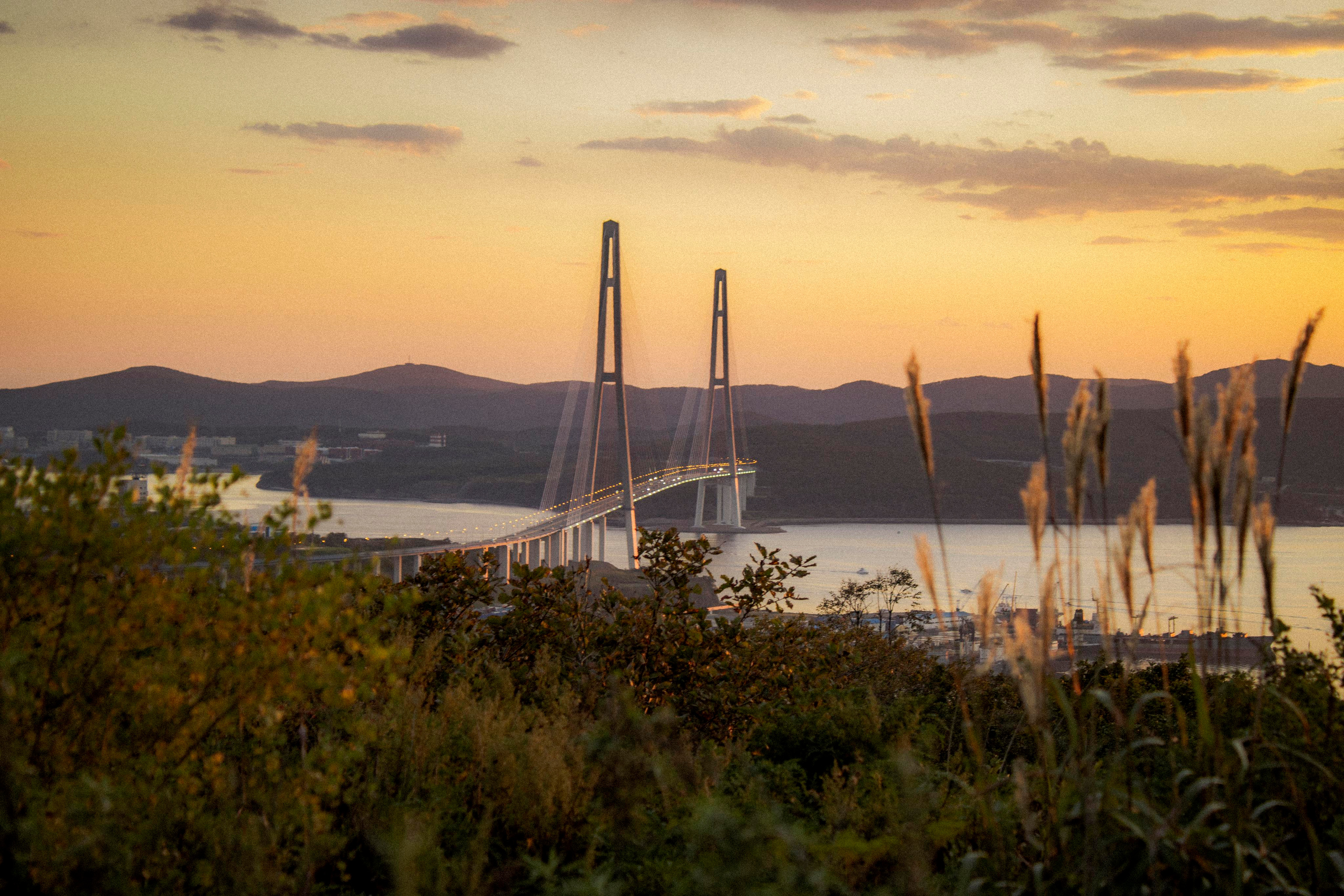 Контакты. Фотограф г. Владивосток