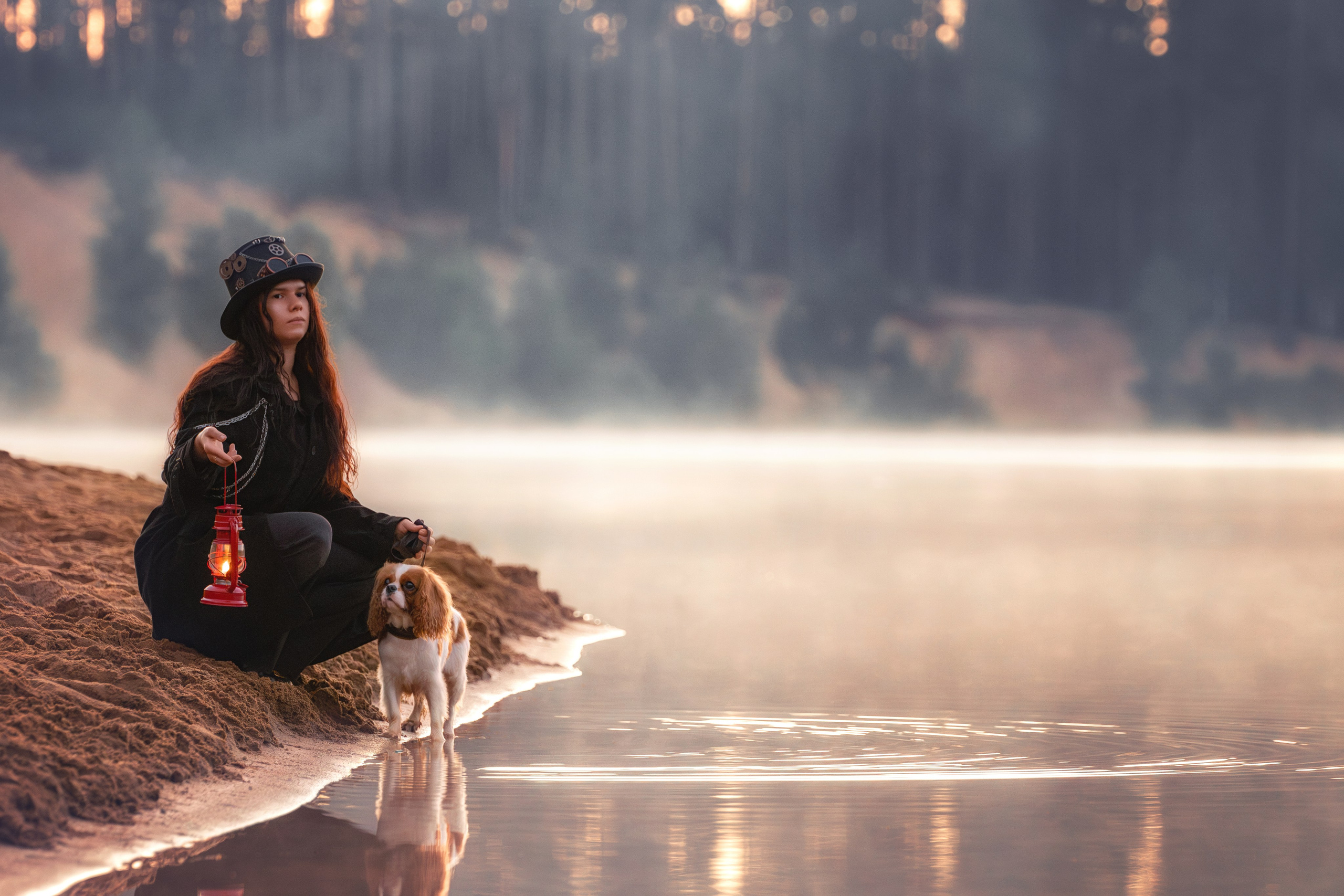 Портрет рыжего колли в осеннем лесу
