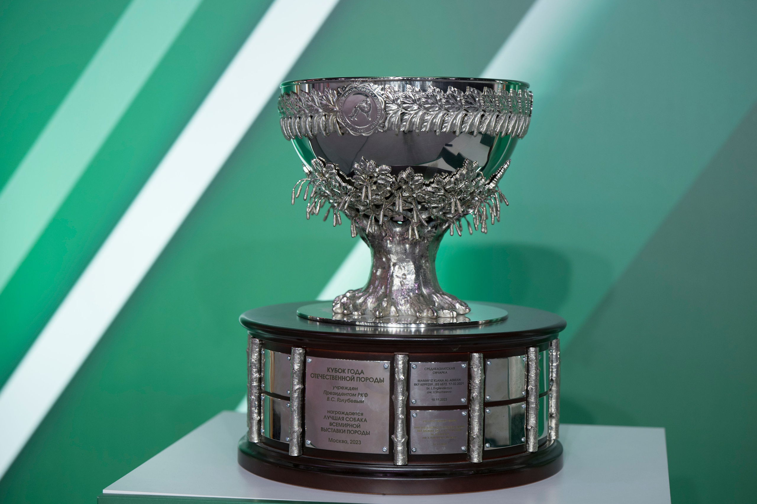 15-16.11.2025 ЕВРАЗИЯ г. Москва. Фотограф анималист Елена Галдина г. Красноярск