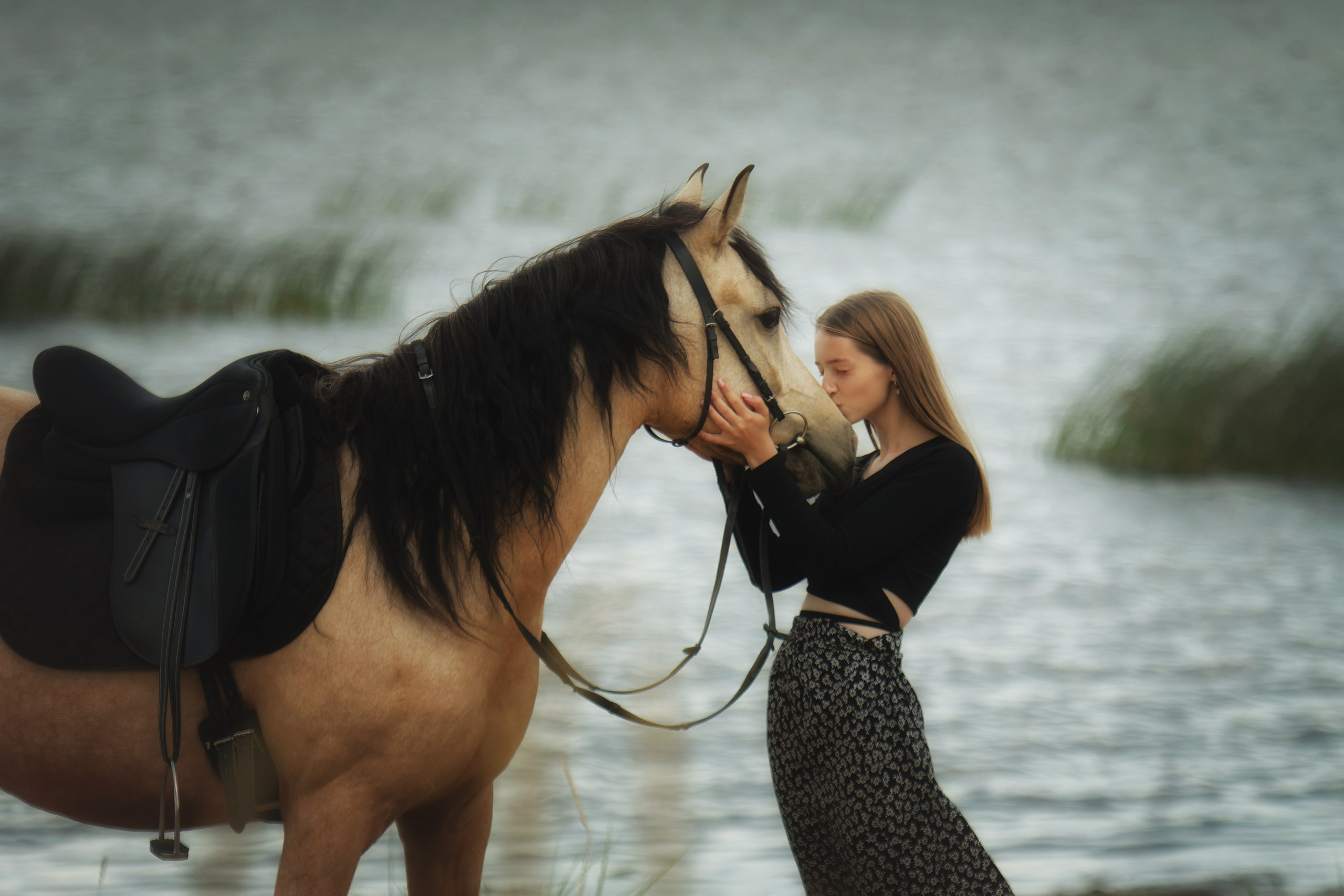 Лошади. Фотограф-анималист Юлия Зубкова
