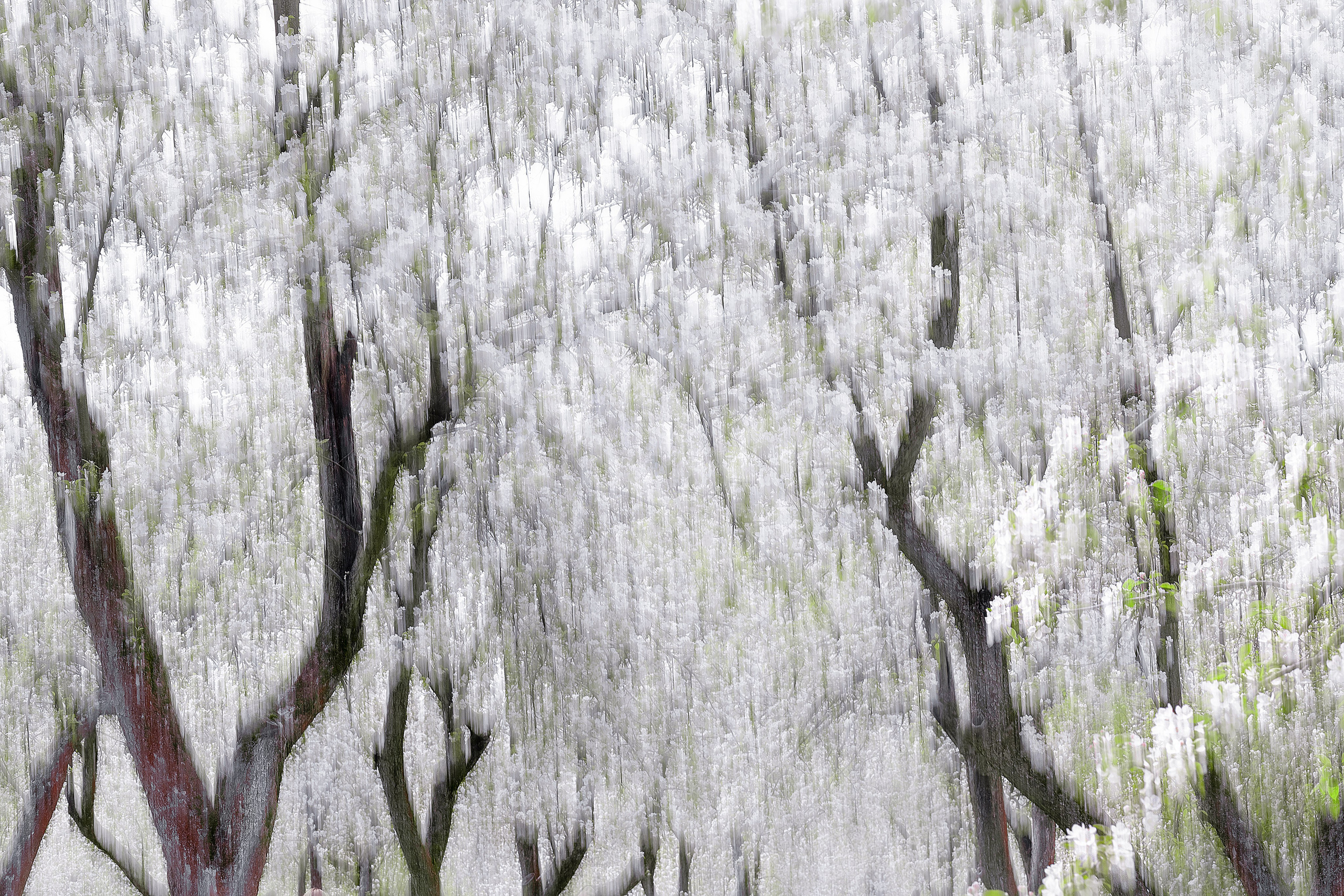 Интерьерная фотография. Фотограф Ольга Дунаева