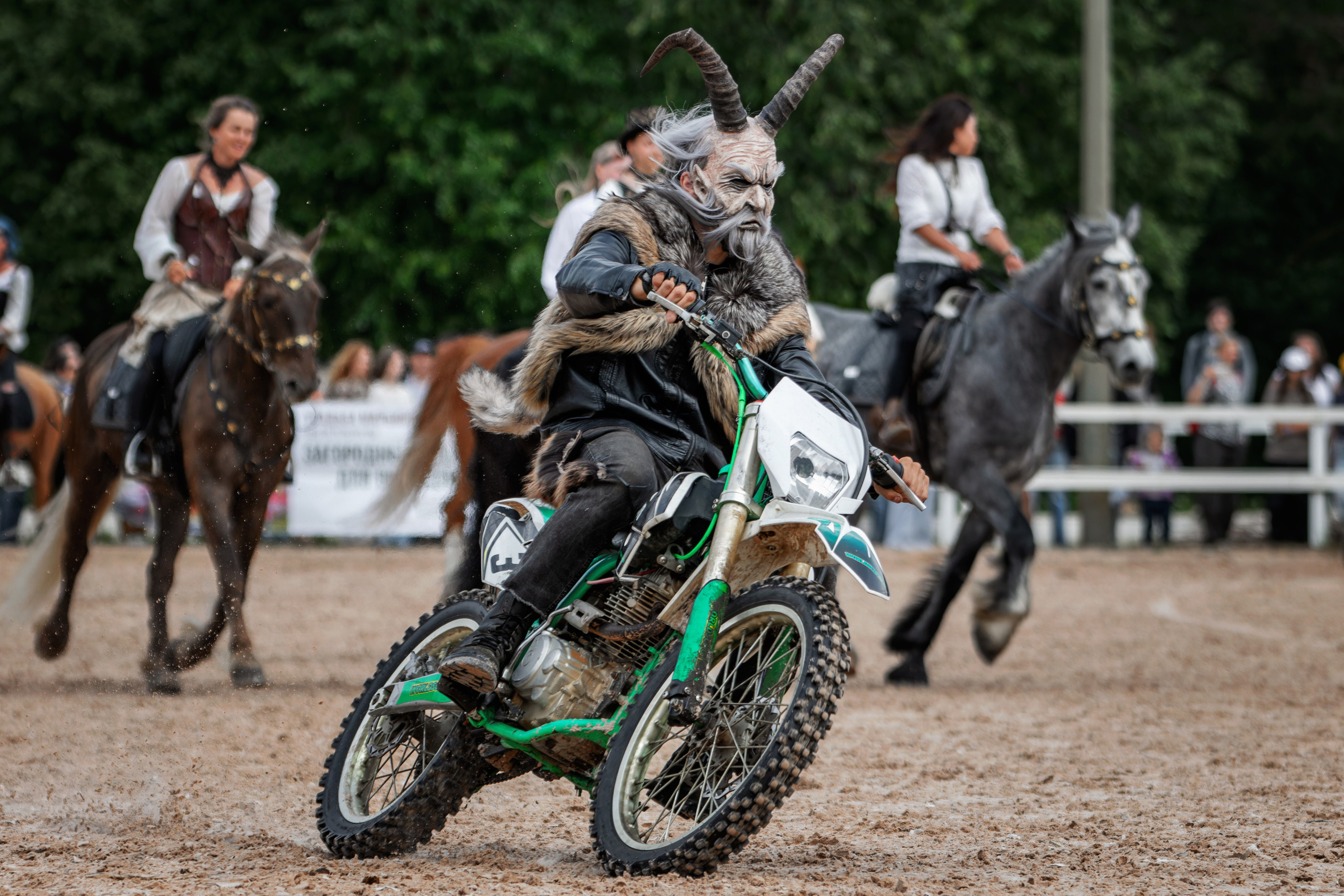 Лошади. Фотограф-анималист Юлия Зубкова