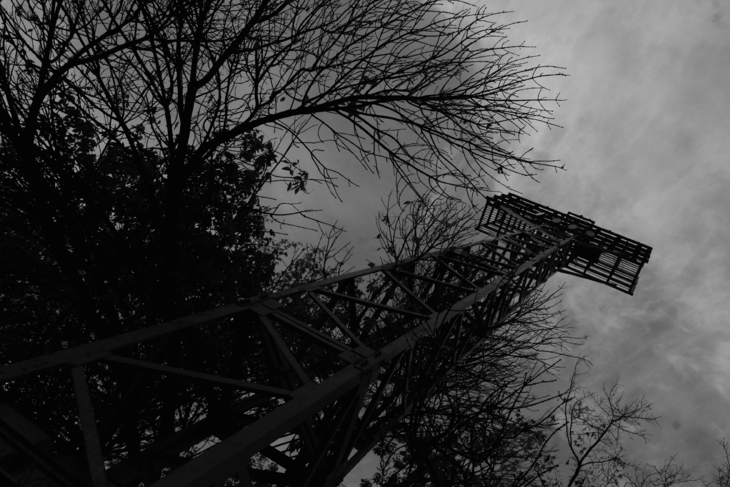 Стадион «Водник». Фотограф в Санкт-Петербурге и Нижнем Новгороде Яна Титова