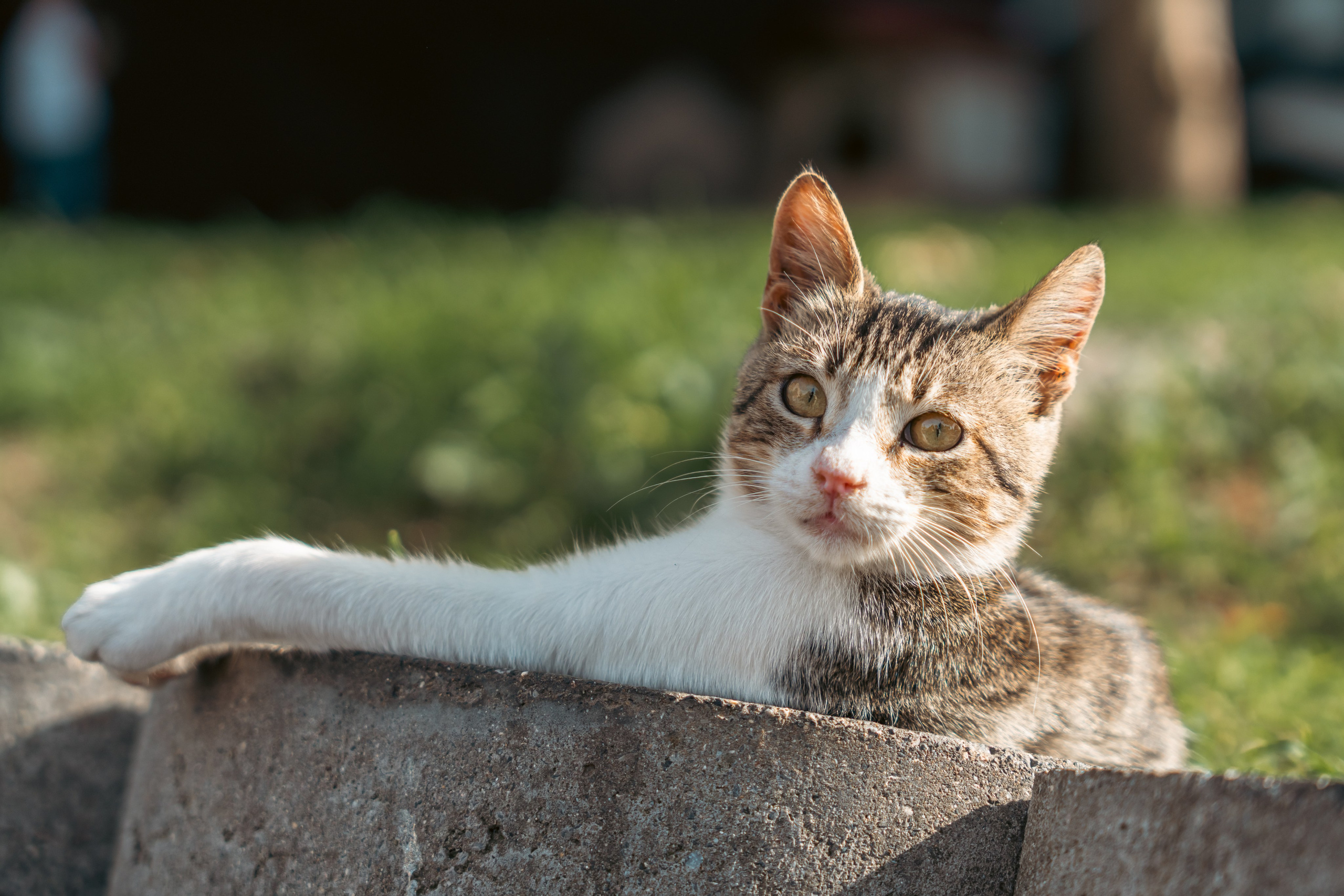 Турция — Стамбул. Илья Варин — Фотограф Москва, Тверь