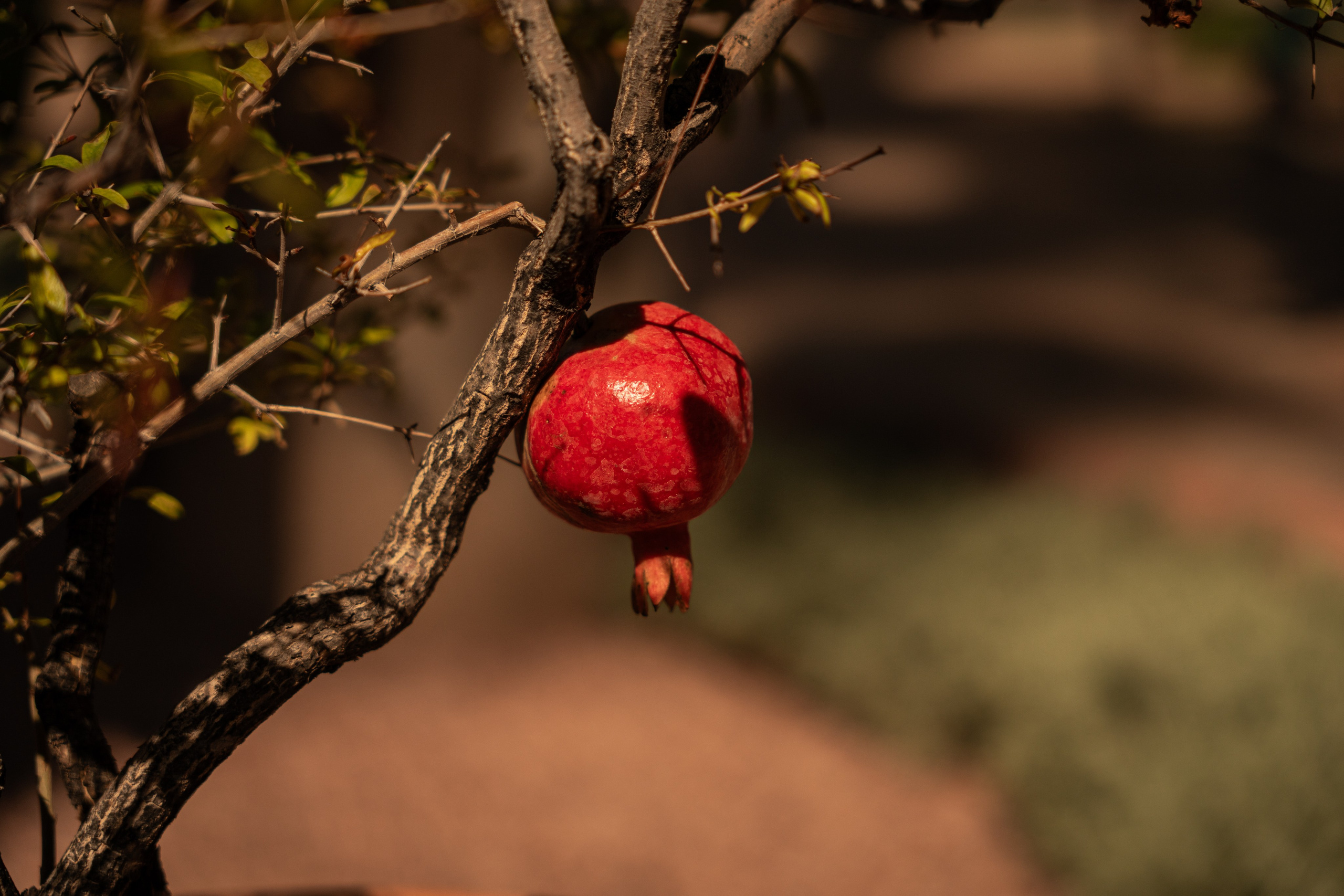 Марокко. Илья Варин — Фотограф Москва, Тверь