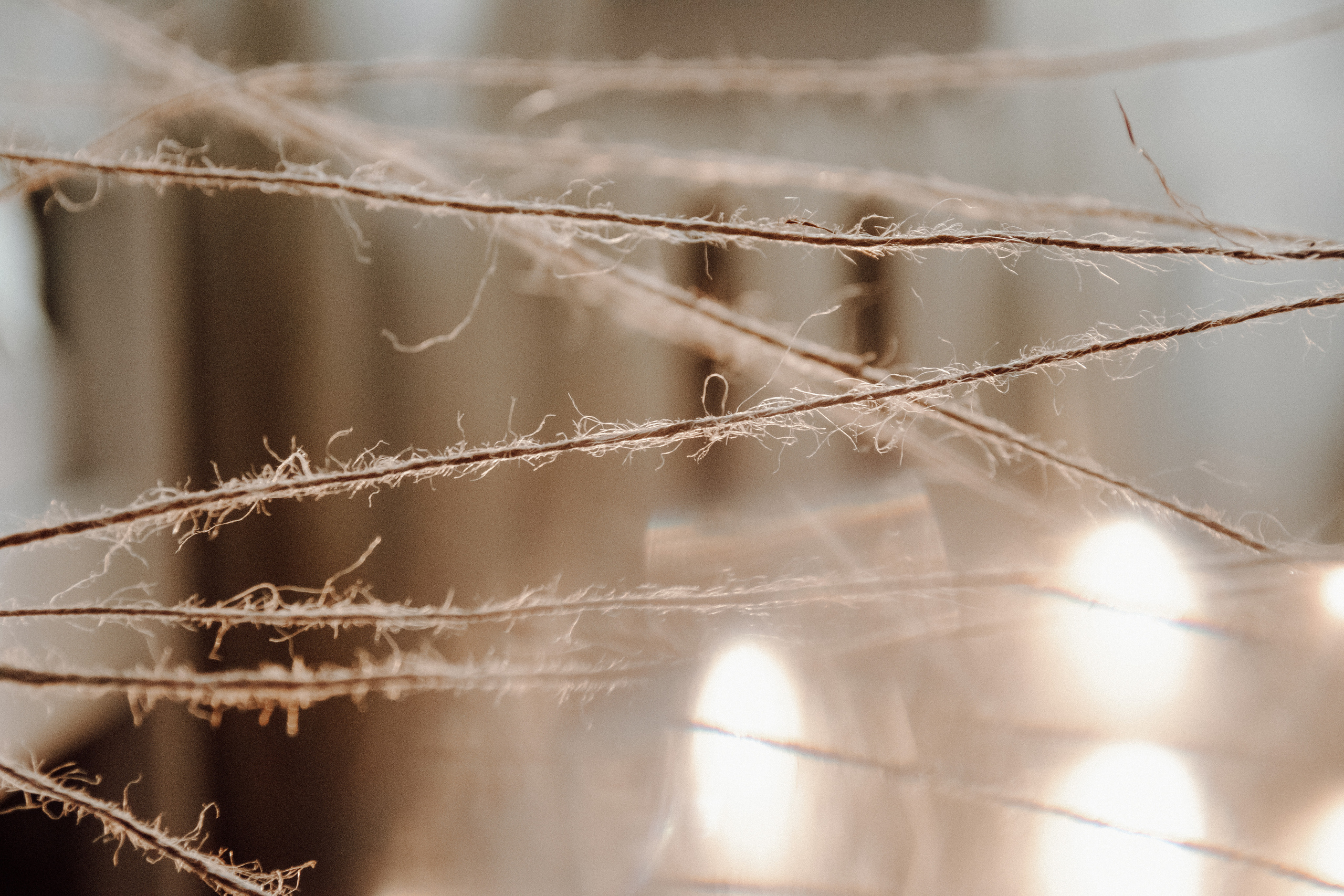 Услуги. Семейный фотограф в Москве