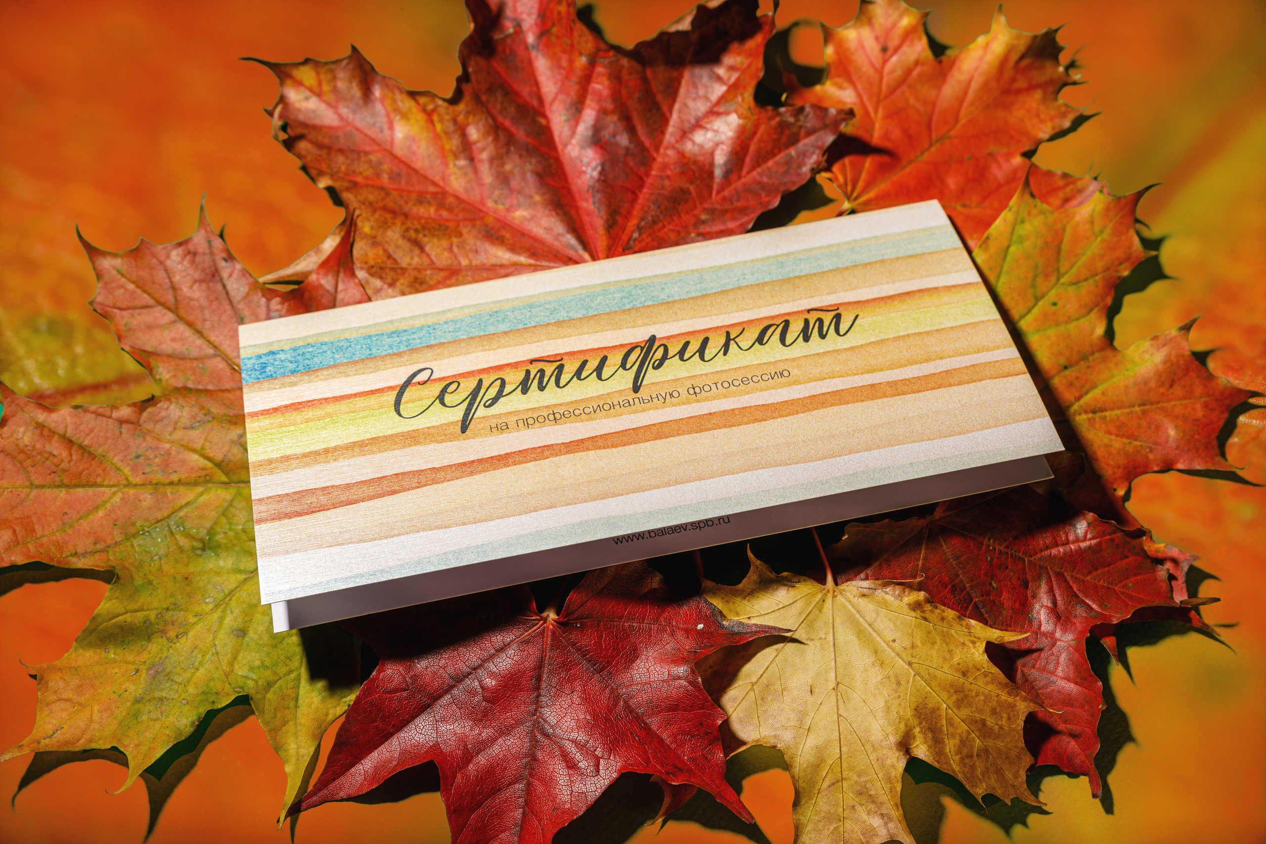 Кленовые листья (макросъемка). Фотограф Балаев Михаил