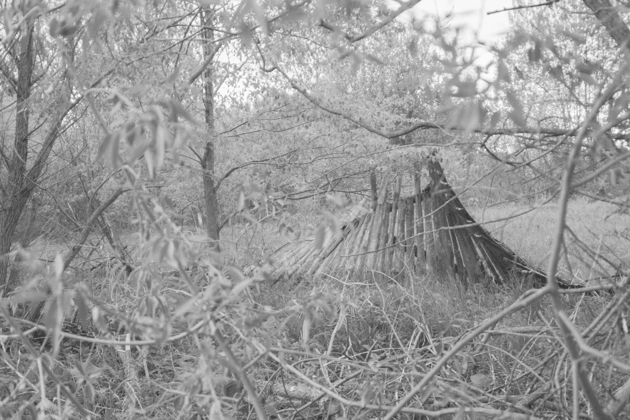 Течение. Детство (2022). Фотограф Полина Треногина