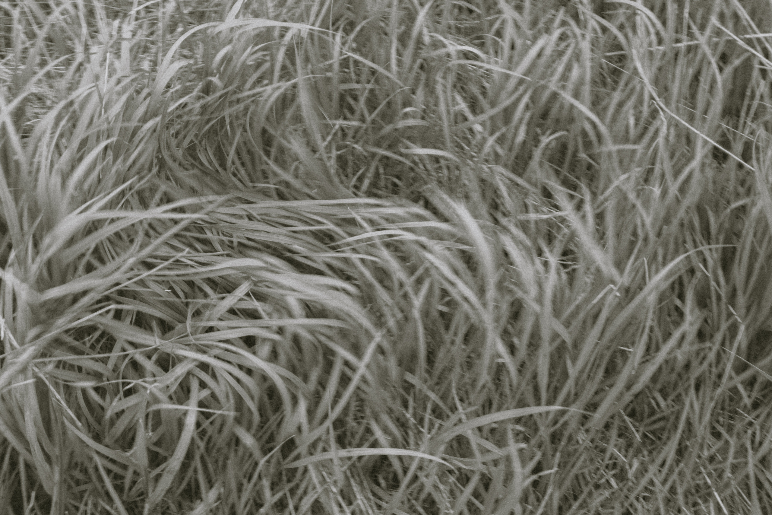 Течение. Детство (2022). Фотограф Полина Треногина