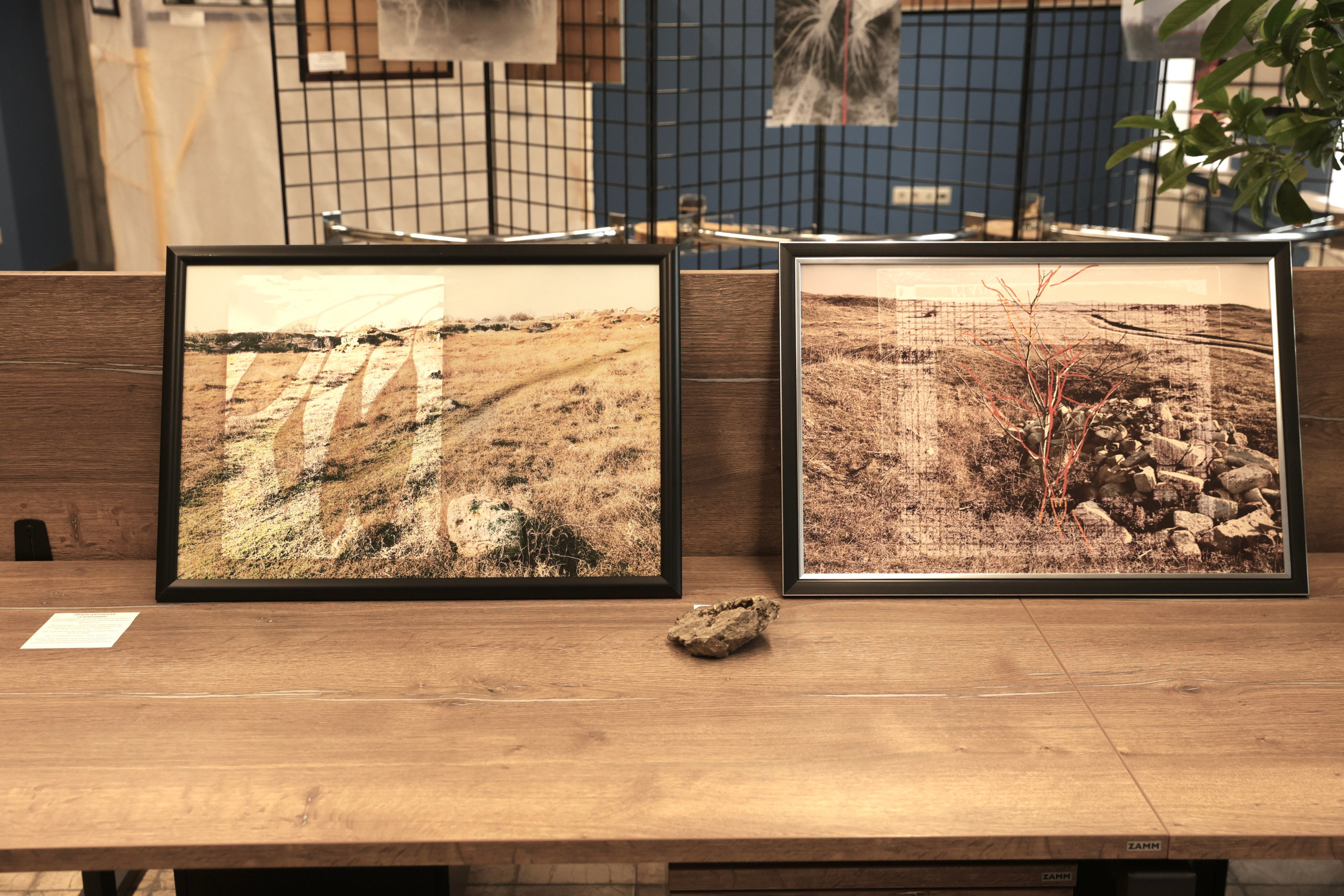 Персональные выставки. Visual artist, photographer Liana Darenskaya, Moscow