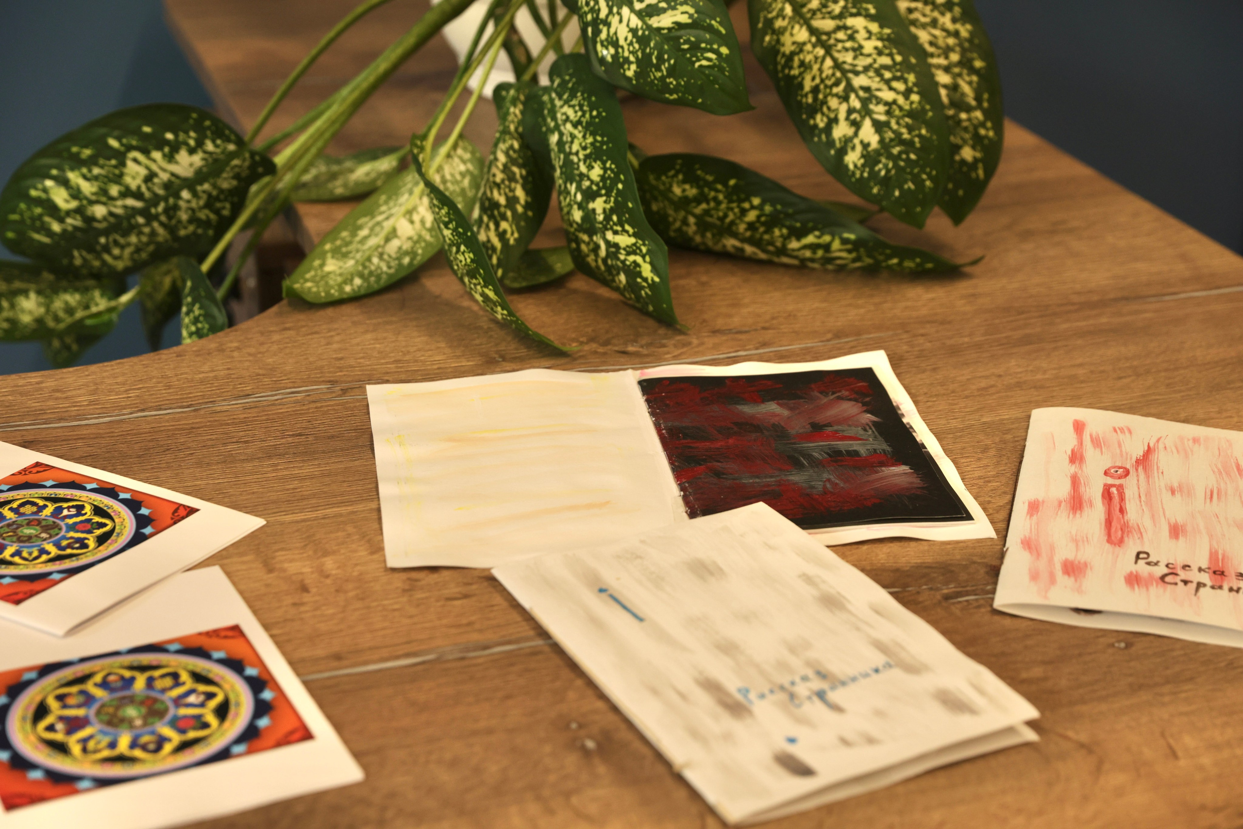 Персональные выставки. Visual artist, photographer Liana Darenskaya, Moscow