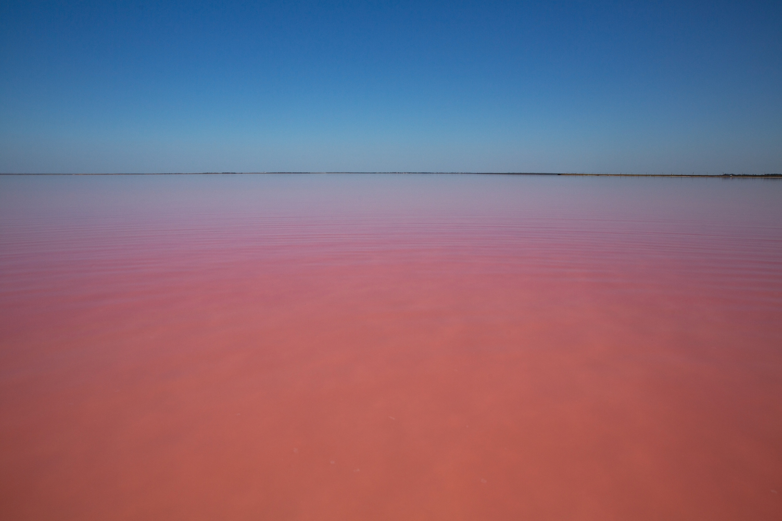 Галереи, выставки, арт-проекты. Visual artist, photographer Liana Darenskaya, Moscow