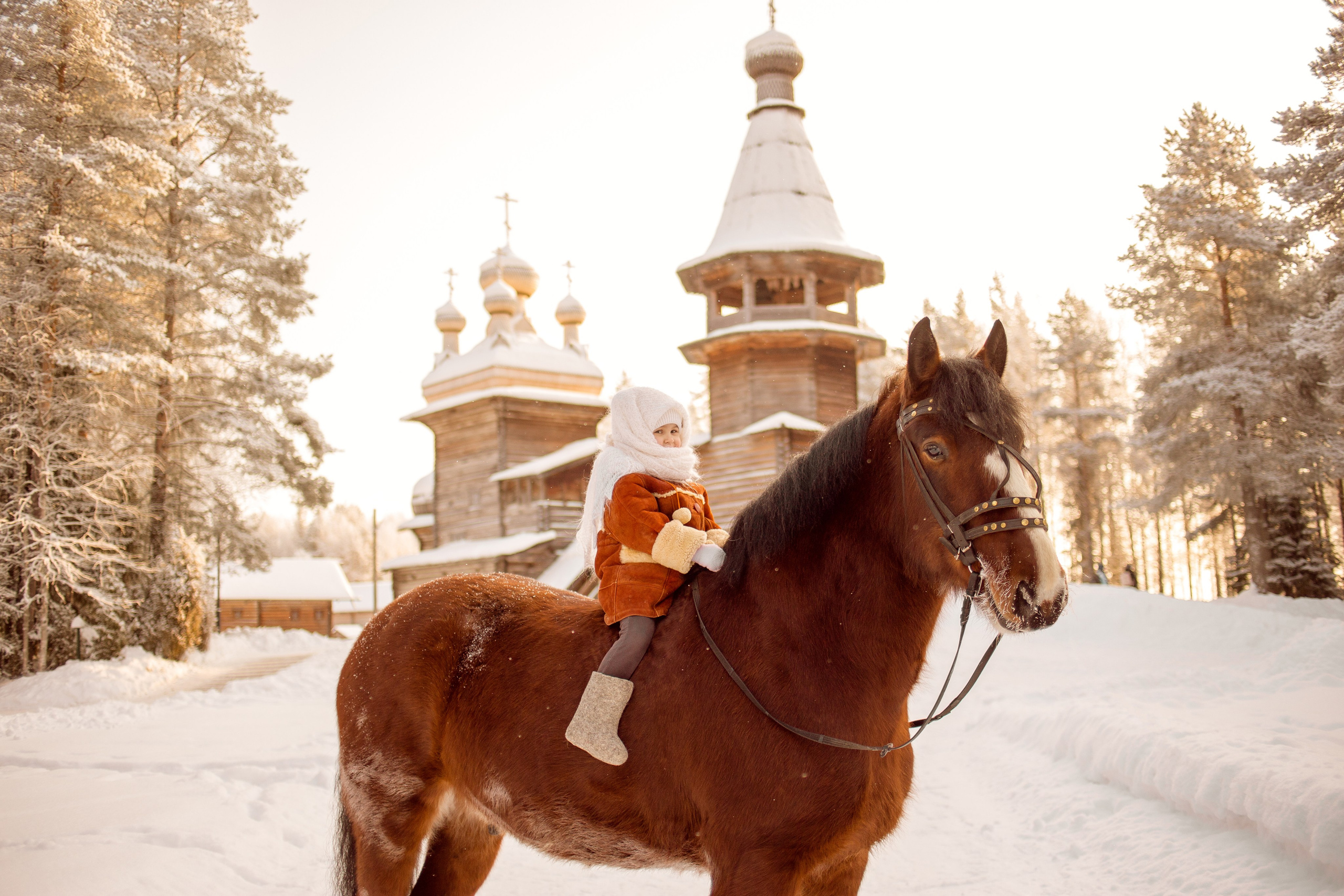 Цена фотосессии с лошадью в Петербурге