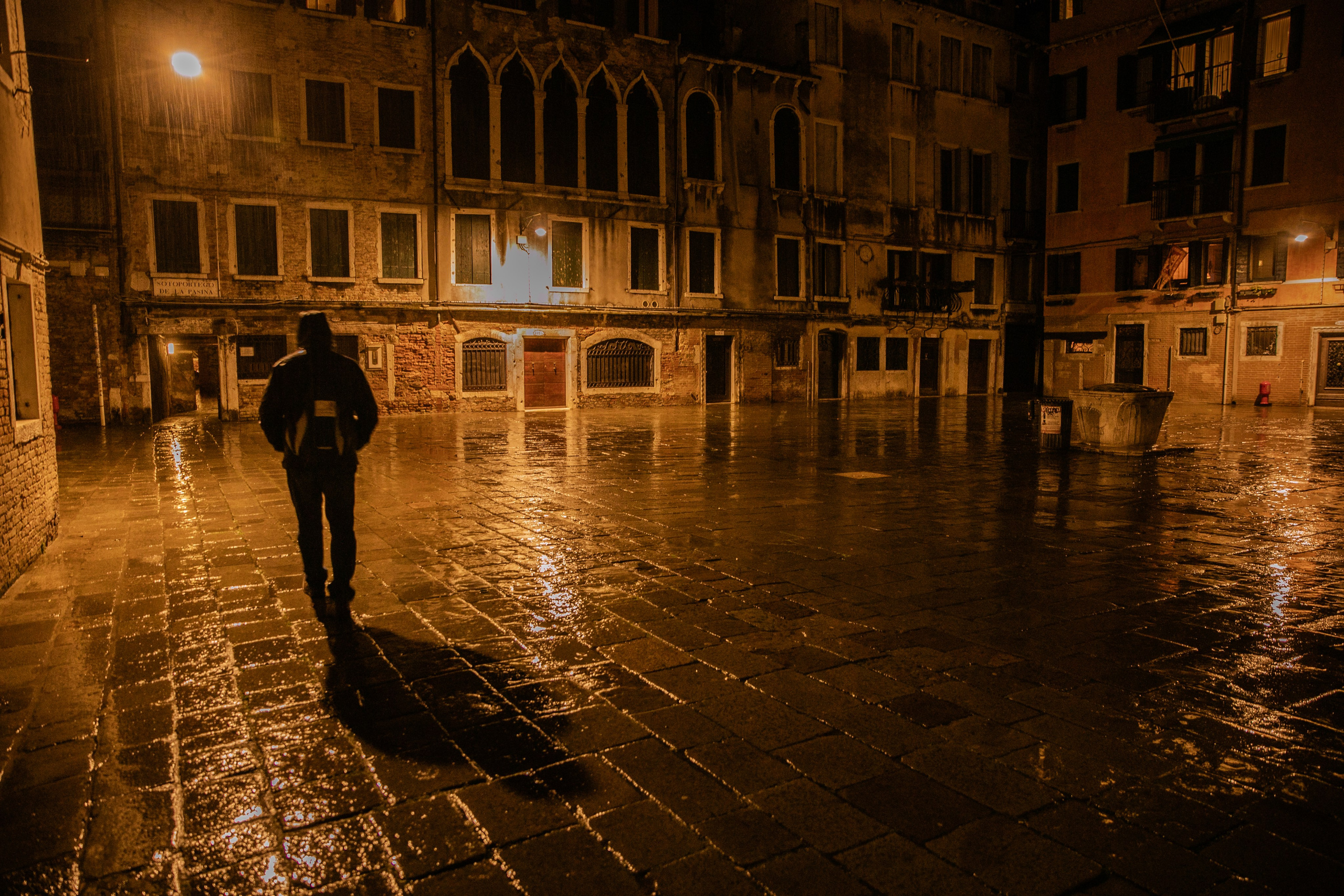 Зима в Венеции. Визуальный художник Лиана Даренская, Москва