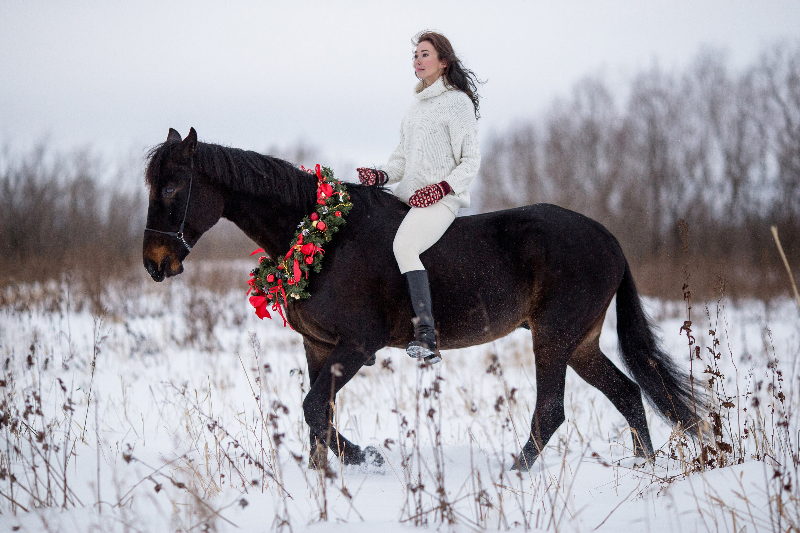 Новогодняя фотосессия с лошадью в Архангельске