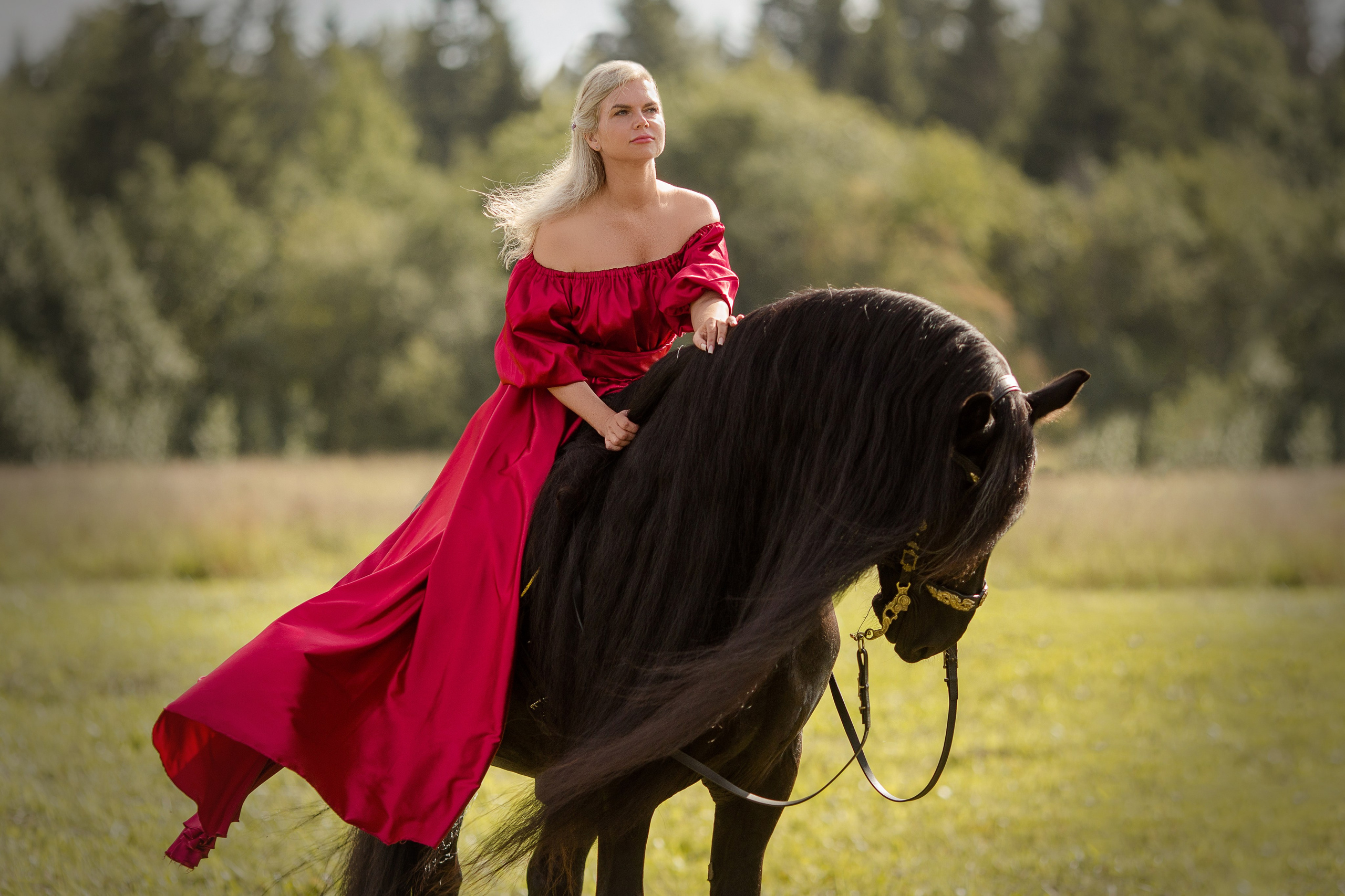 Фотосессия все включено с лошадью в СПб