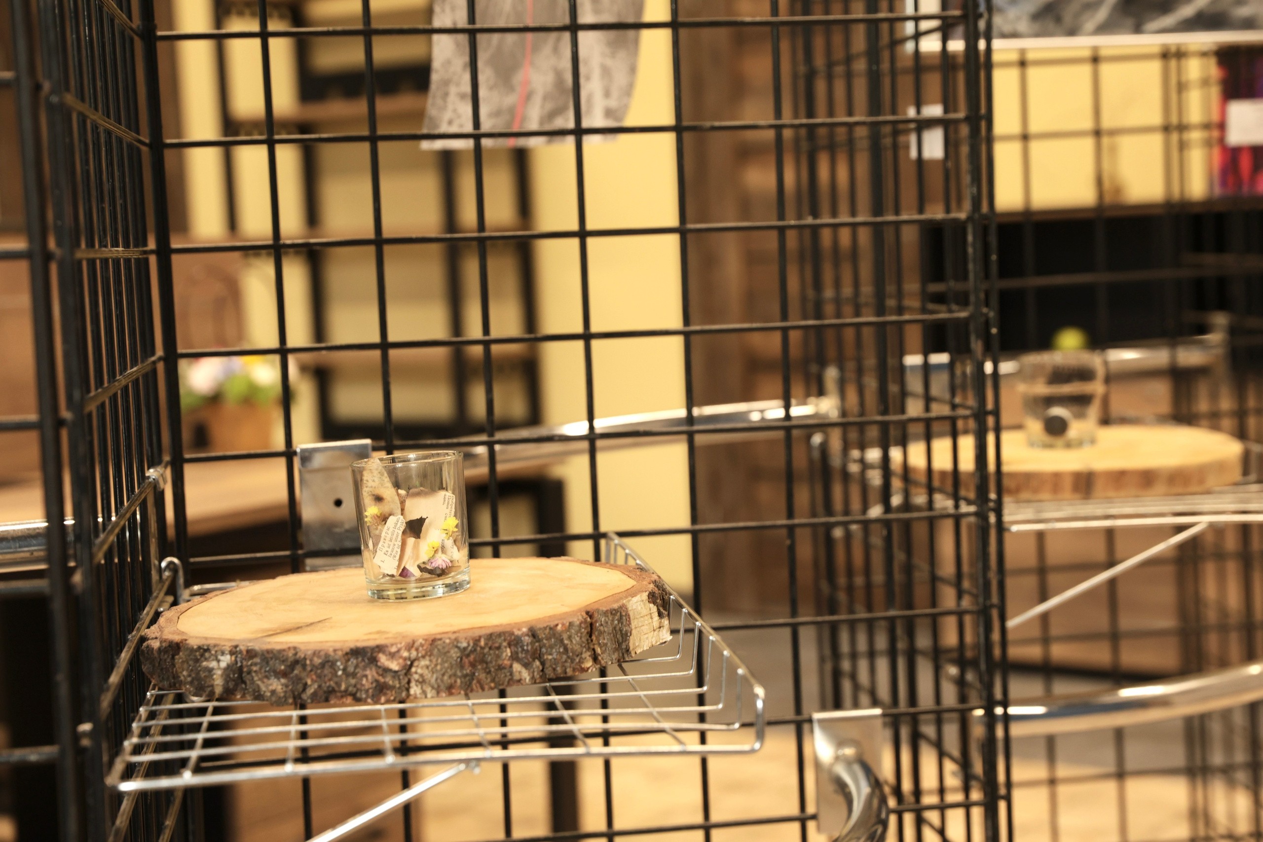 Персональные выставки. Visual artist, photographer Liana Darenskaya, Moscow