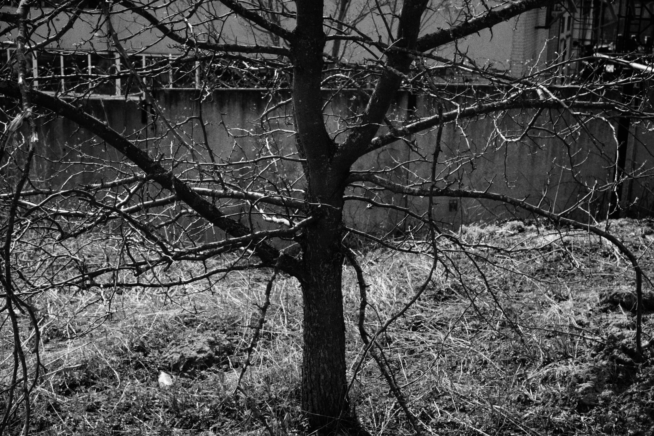 Отрадное — дрейф «система 22». Роман Ходырев — художник, фотограф, музыкант, эзотериолог. Санкт-Петербург, Рига