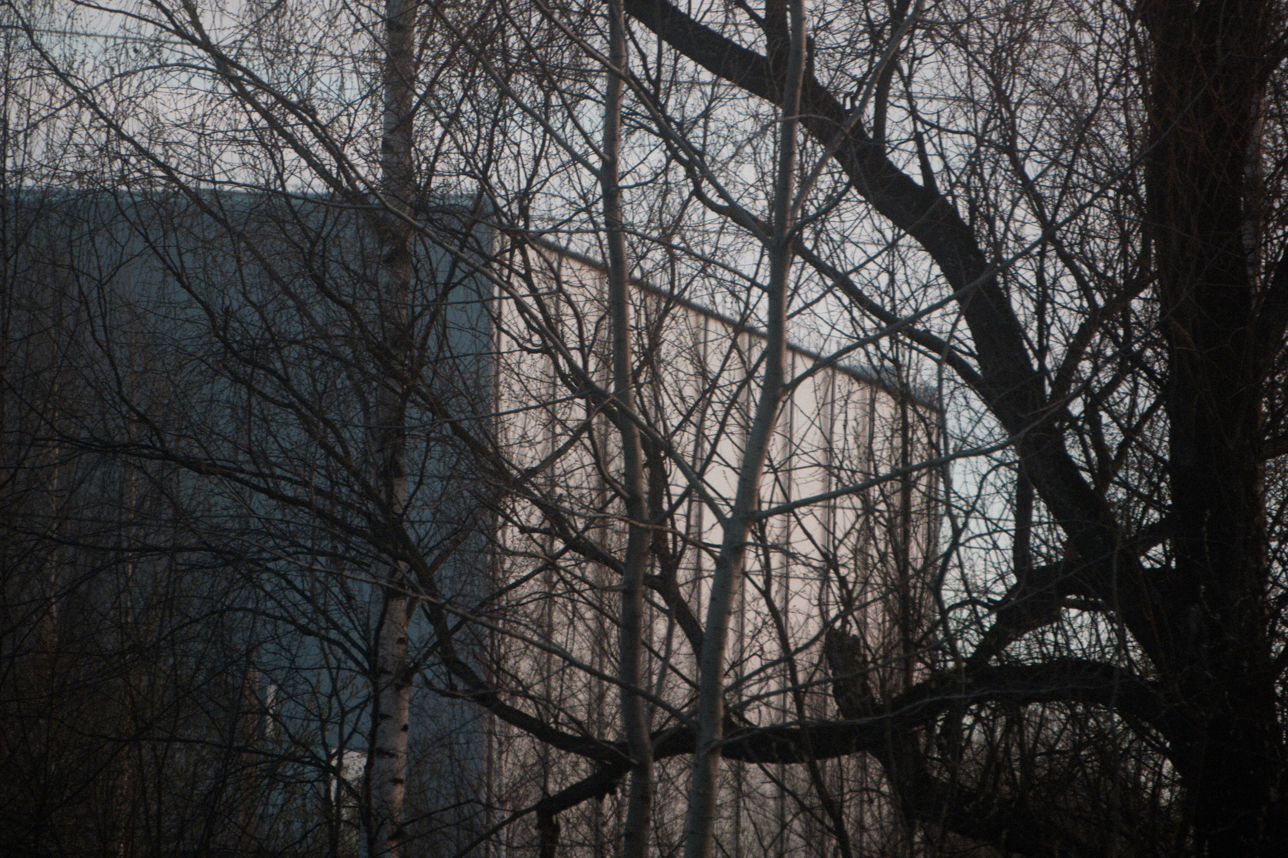 Отрадное — дрейф «система 22». Роман Ходырев — художник, фотограф, музыкант, эзотериолог. Санкт-Петербург, Рига