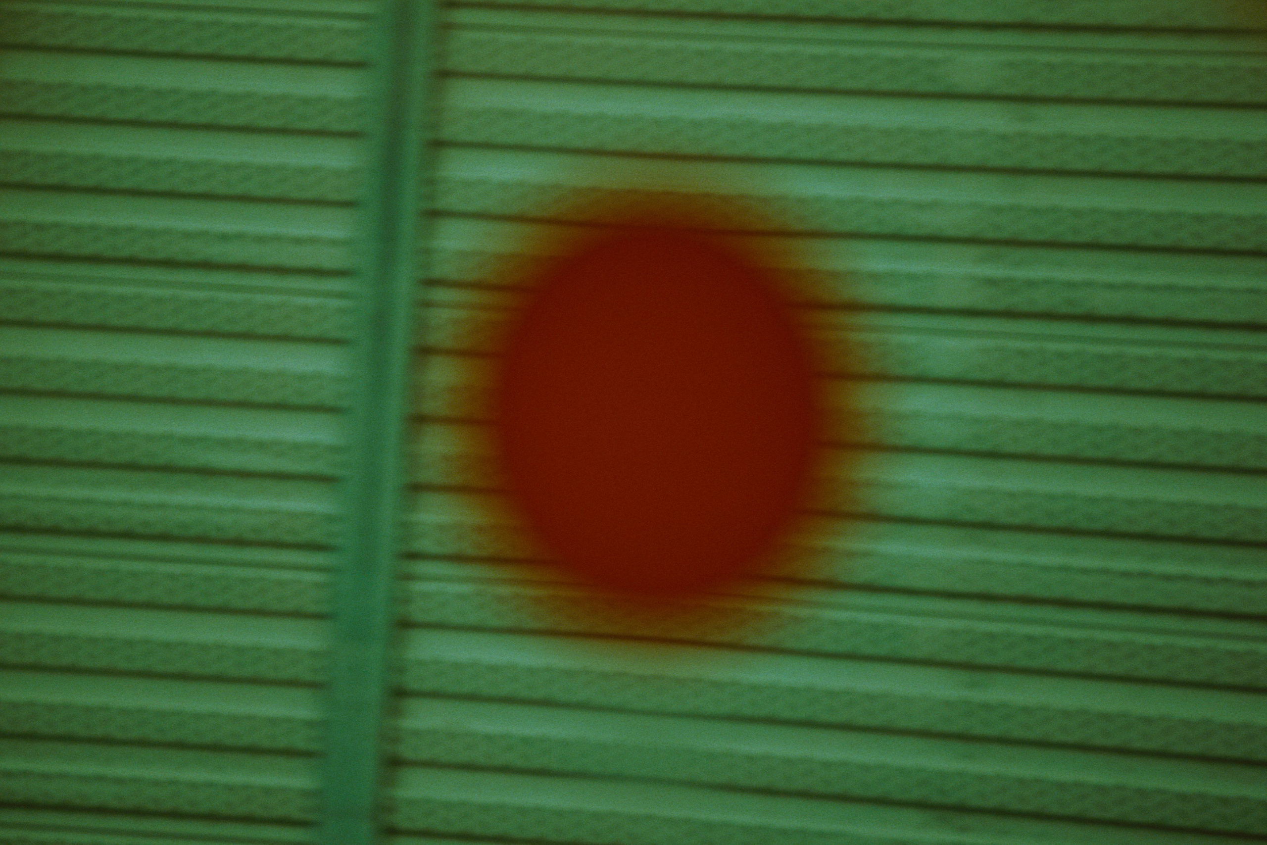 Отрадное — дрейф «система 22». Роман Ходырев — художник, фотограф, музыкант, эзотериолог. Санкт-Петербург, Рига