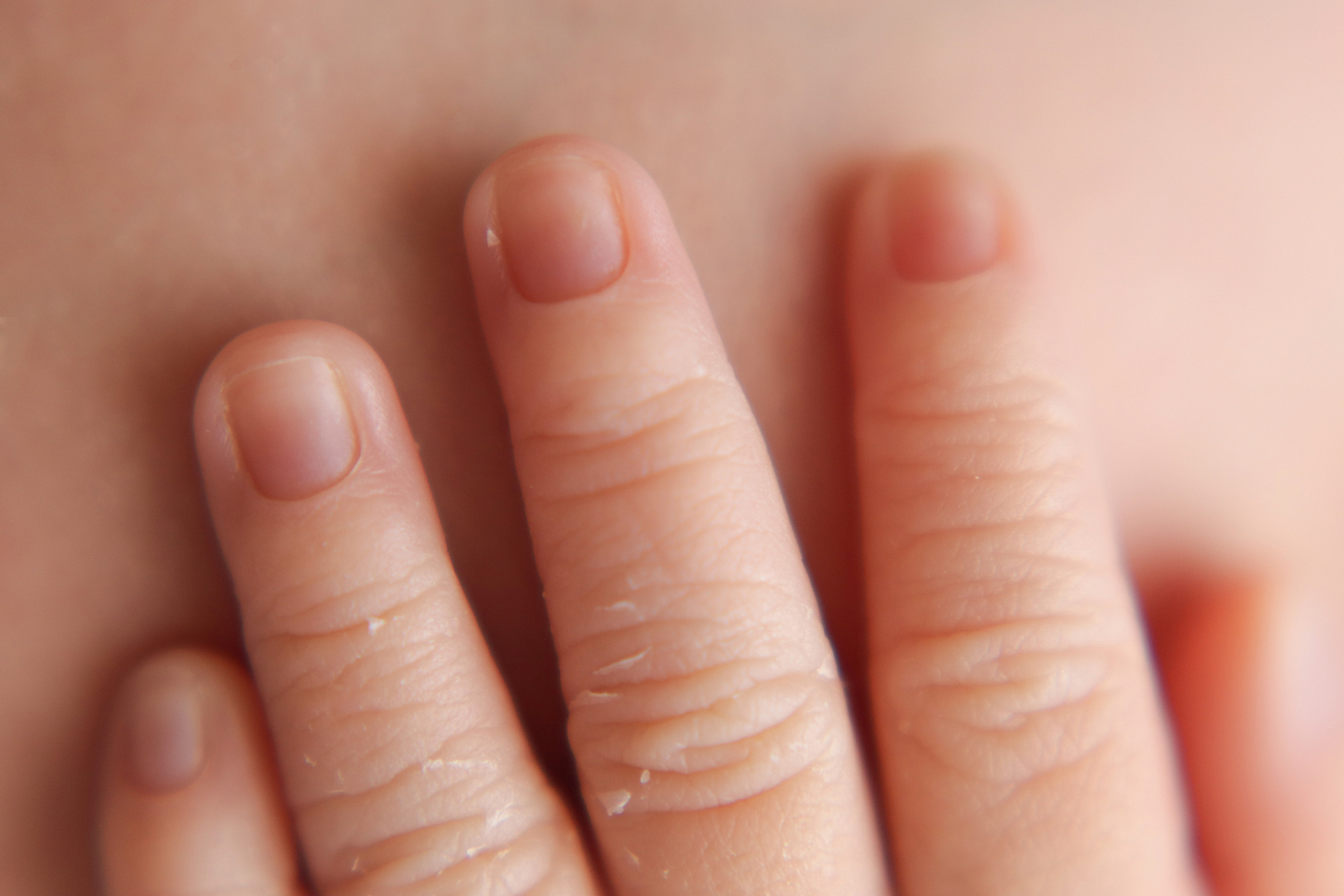 Макрокадры. Фотограф новорожденных в г. Барнаул Ренпенинг Катерина