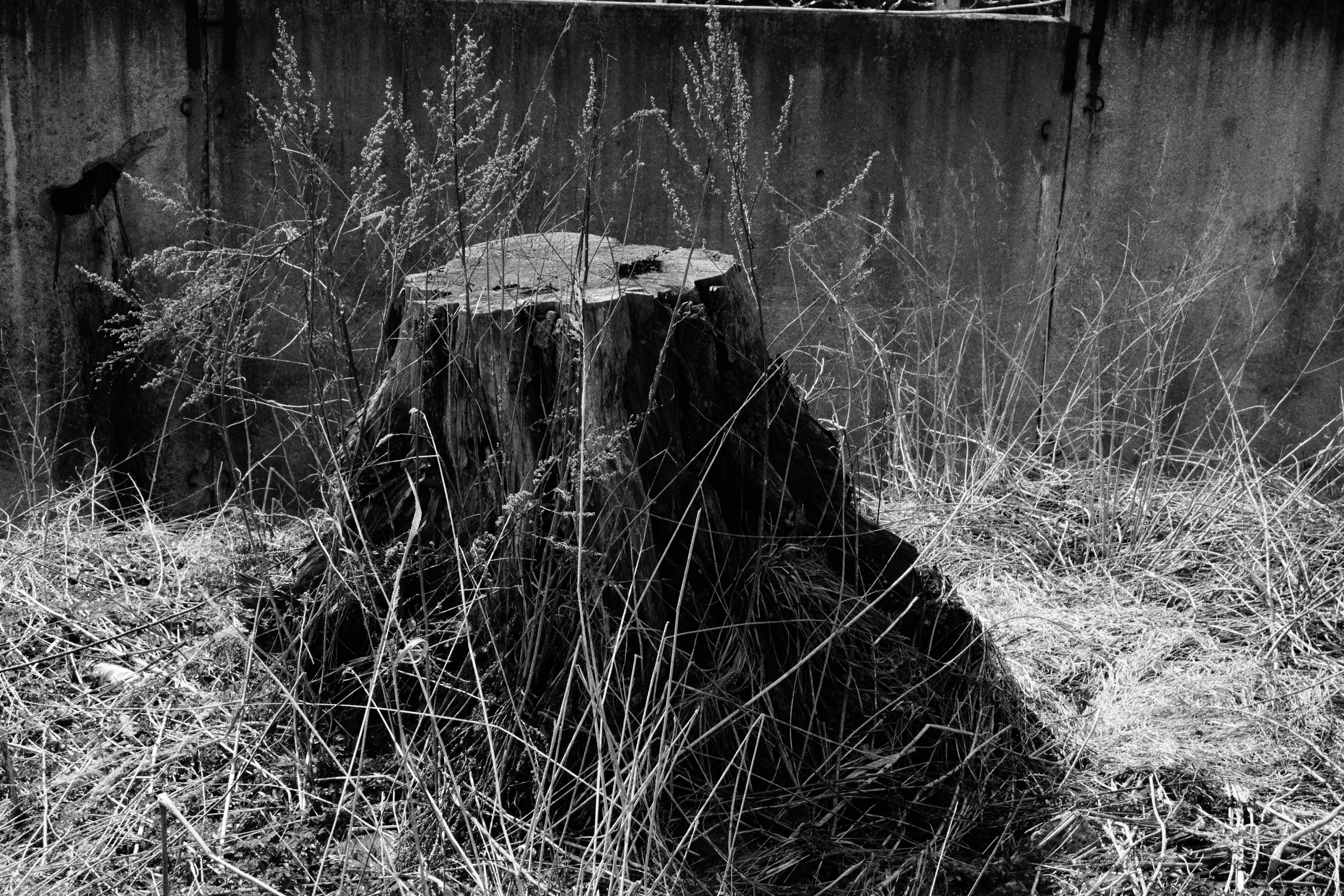 Отрадное — дрейф «система 22». Роман Ходырев — художник, фотограф, музыкант, эзотериолог. Санкт-Петербург, Рига