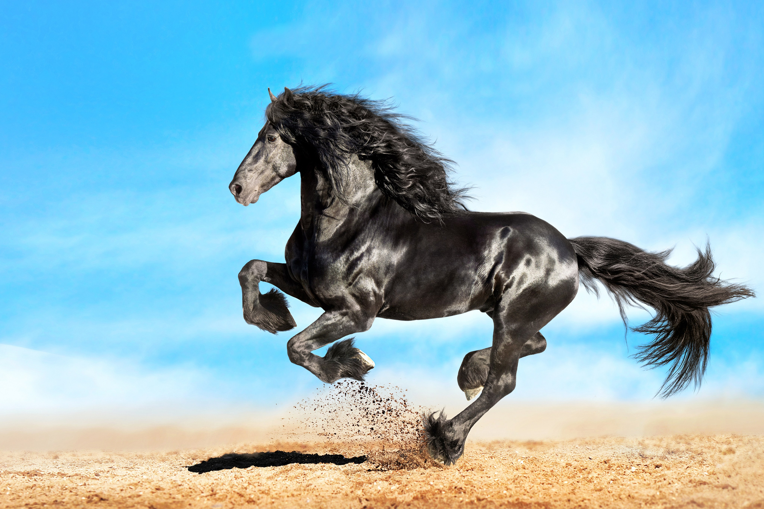 Подарок на семейный праздник, подарки другу на праздник