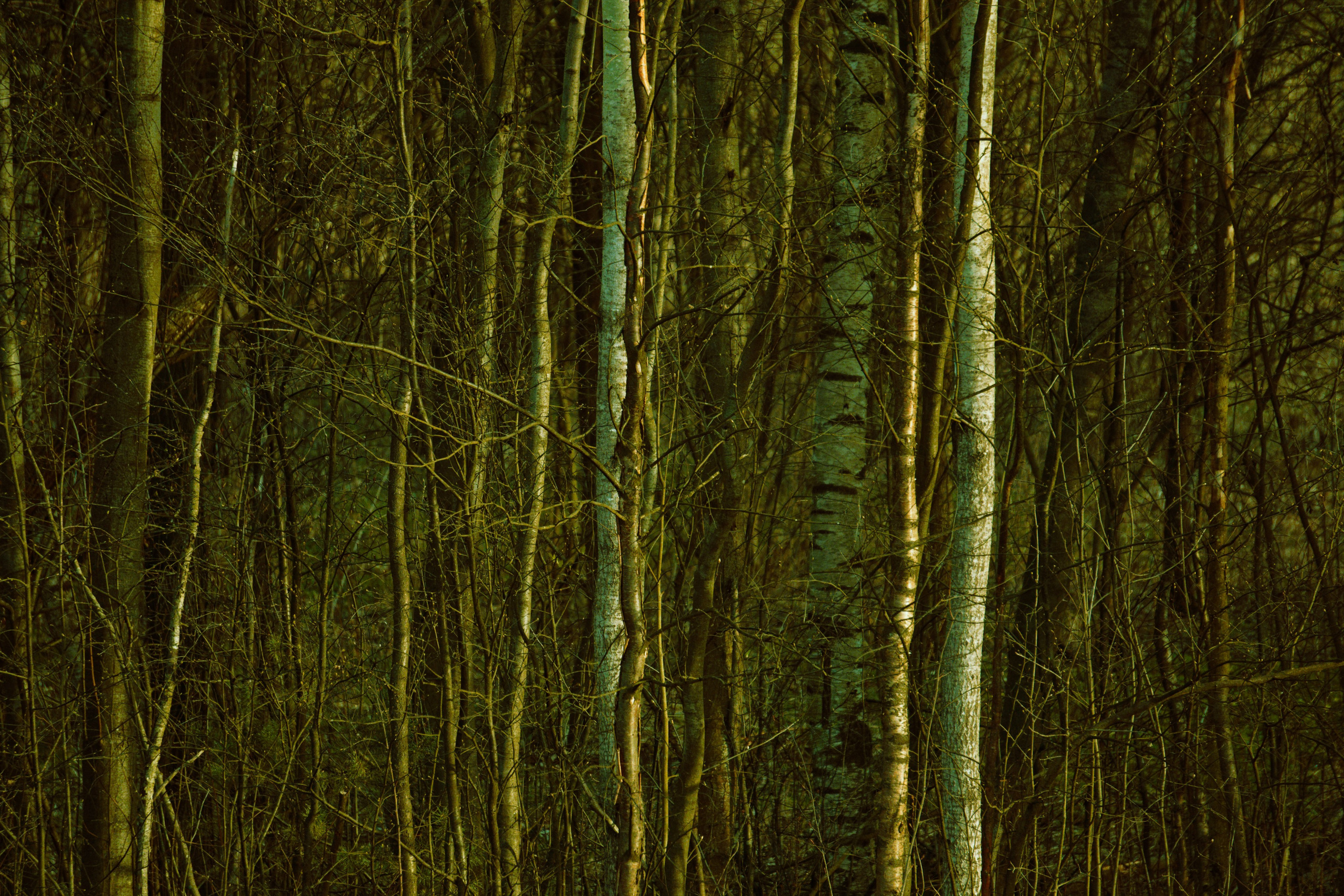 Отрадное — дрейф «система 22». Роман Ходырев — художник, фотограф, музыкант, эзотериолог. Санкт-Петербург, Рига