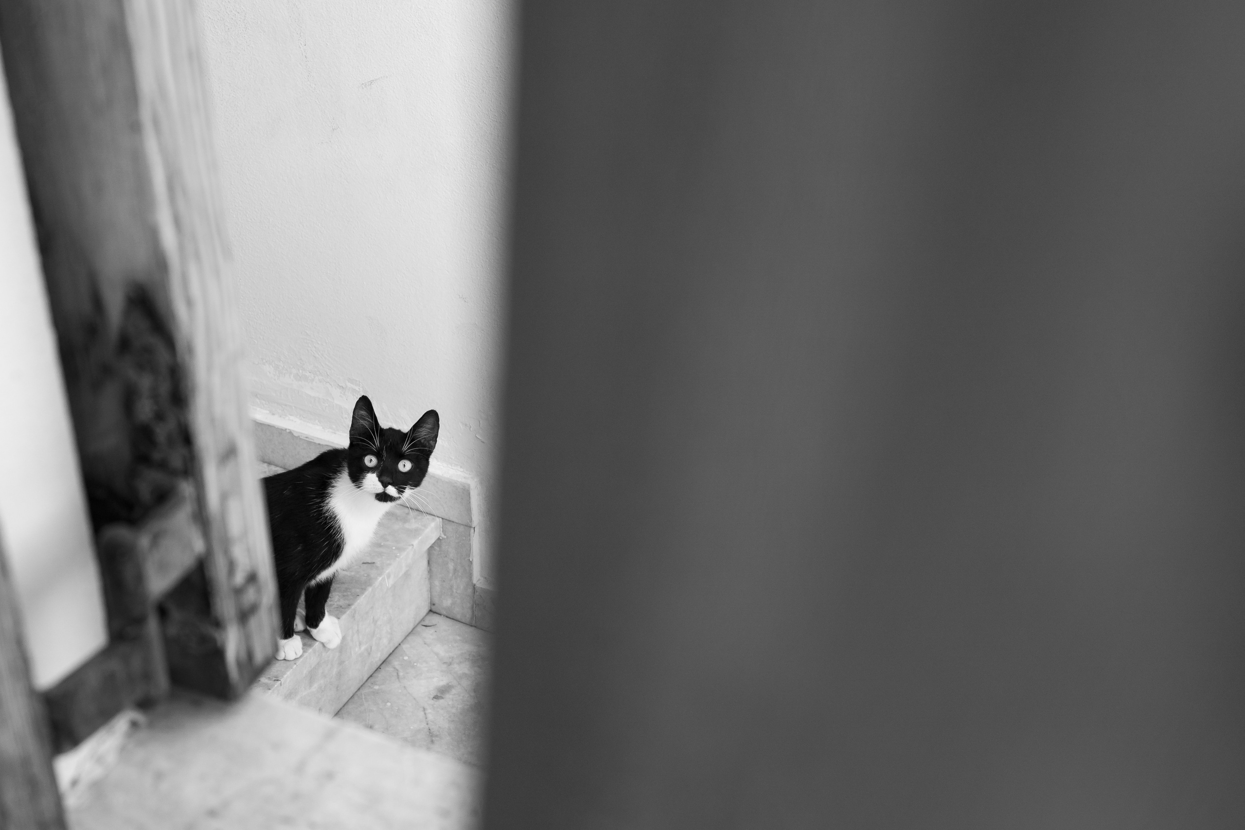 Просто так. Фотограф в Санкт-Петербурге Александр Дымов