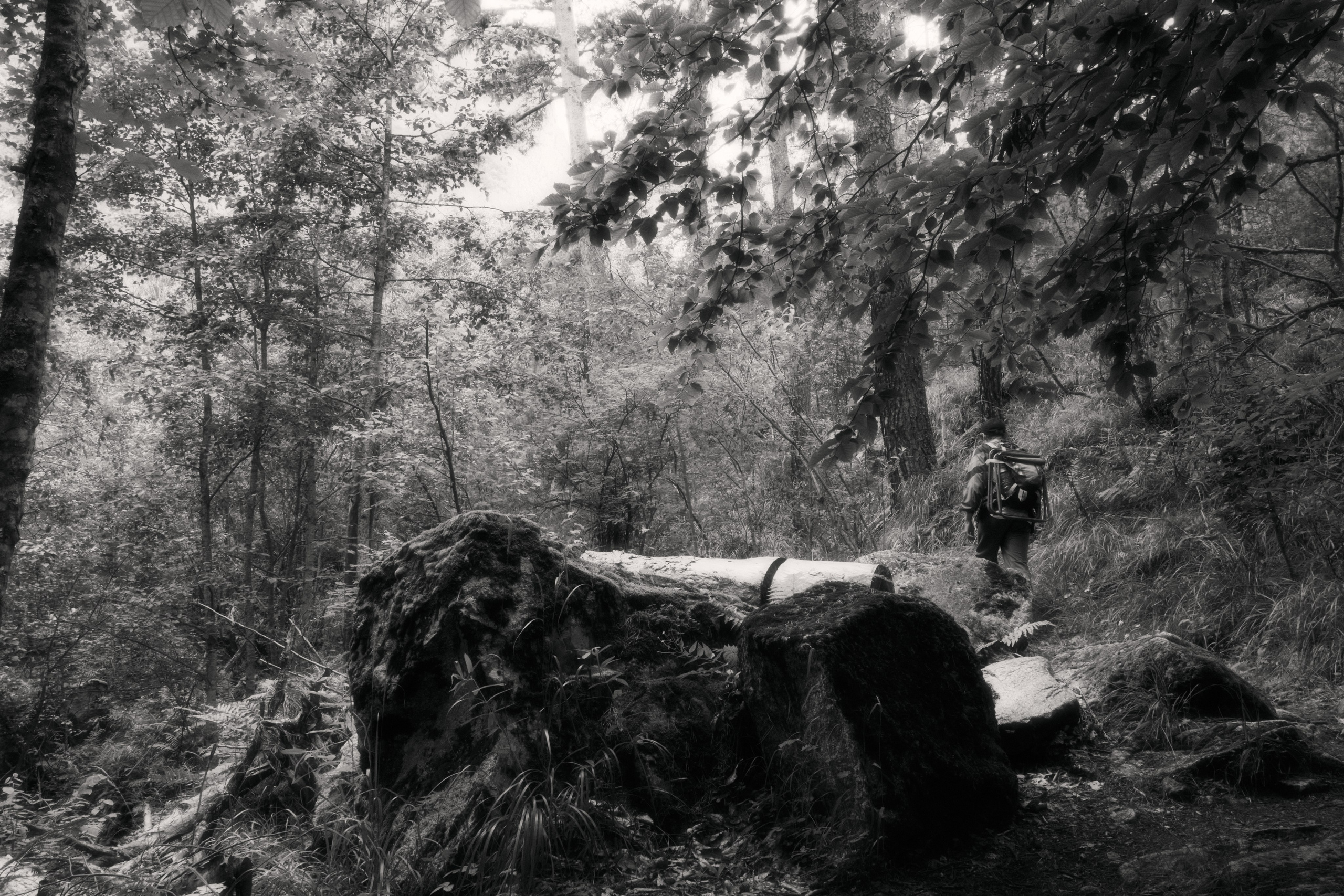 Продажа работ. Izma photos