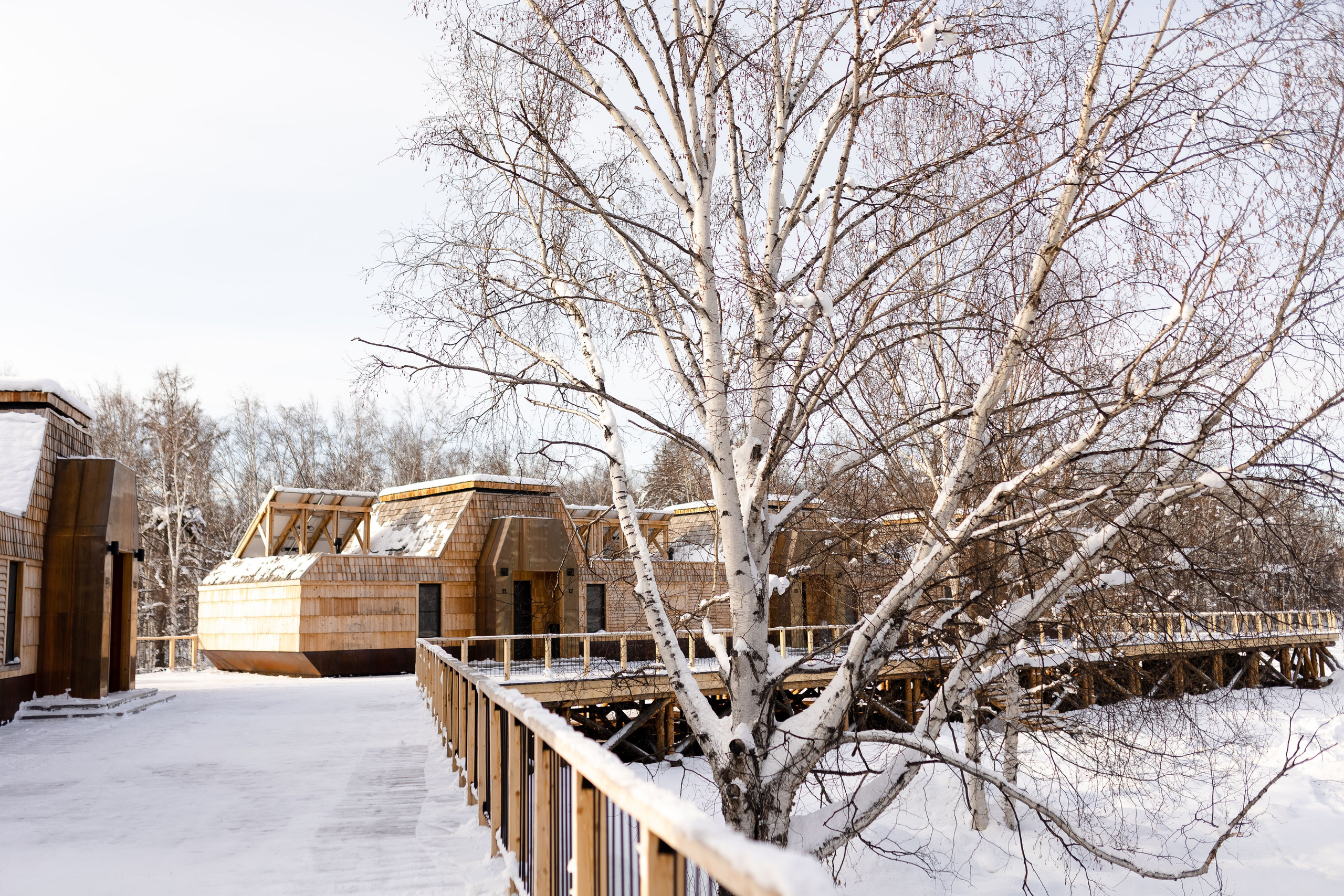 Камчатка. Главная