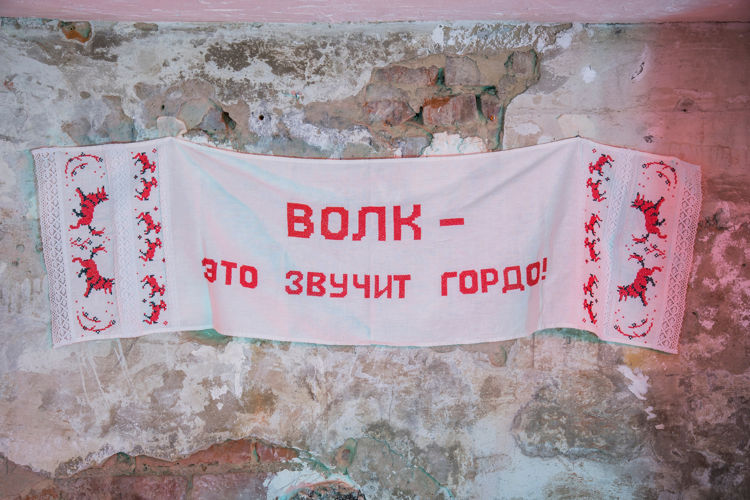 Железный дом. Собачий художник Поля Стриж