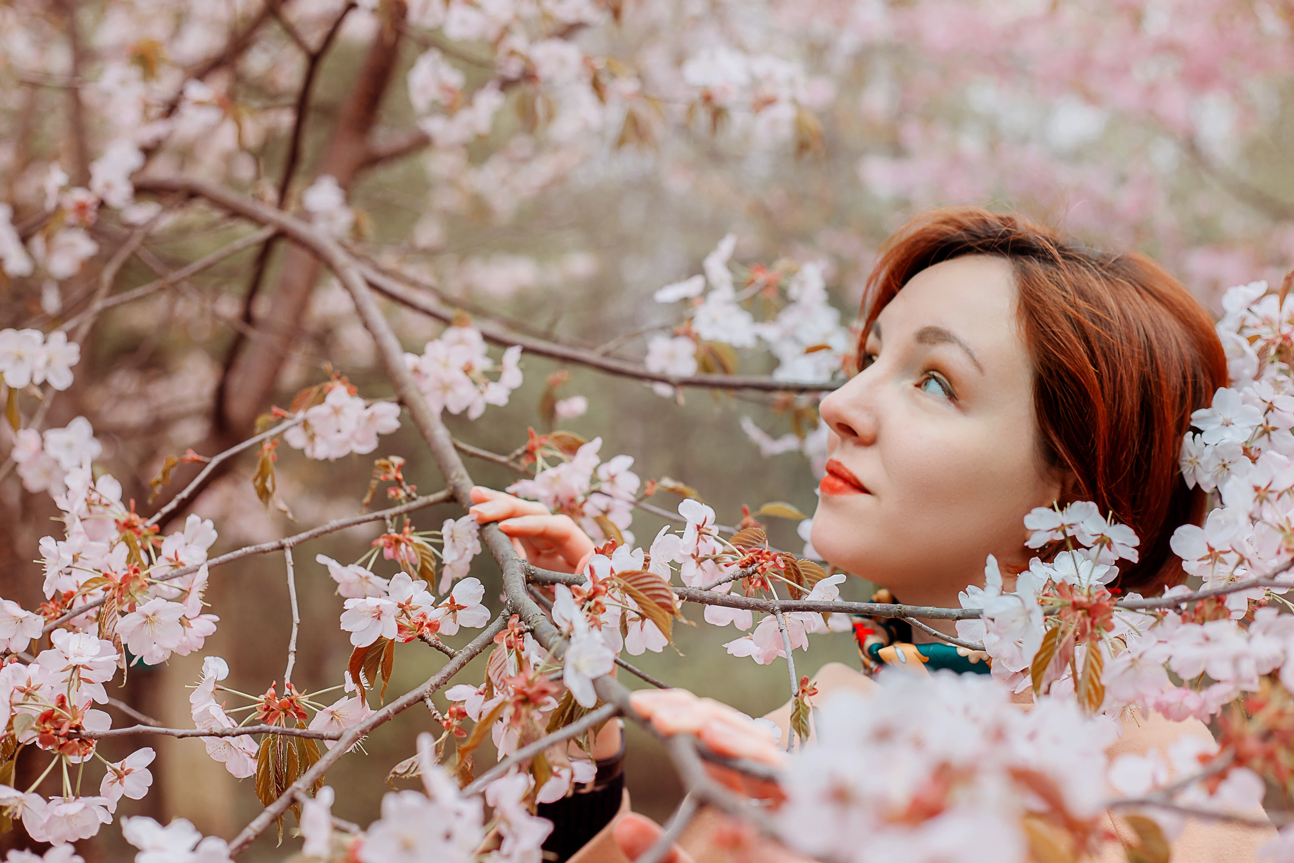 Цветущая сакура в Москве весной — идеальное место для фотосессии