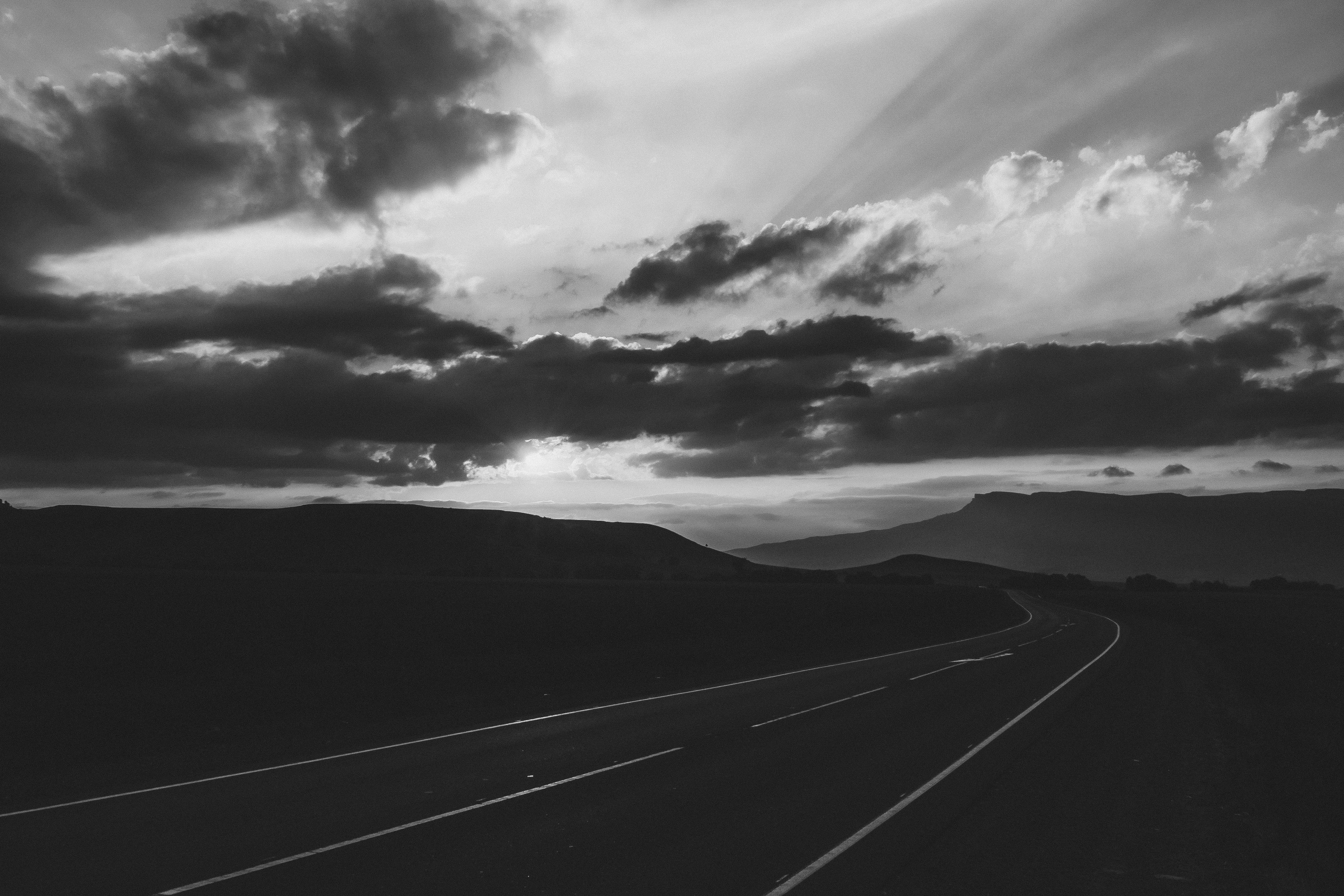 Захарова Олеся. Организация фотовыставок в Петербурге и Москве, MFamilia (МФамилия)