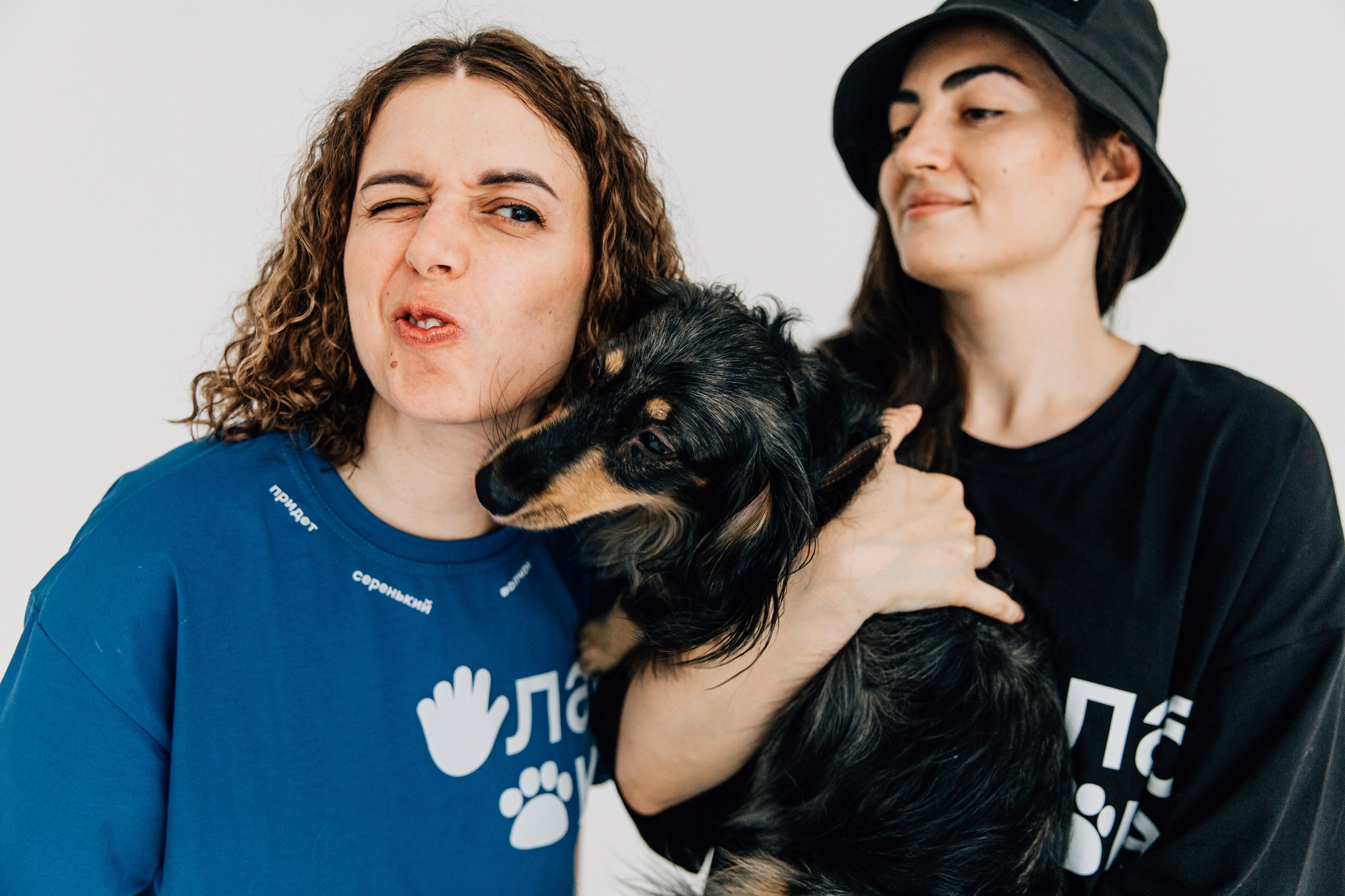 Услуги. Фотограф-анималист в Москве Соломонова Варвара