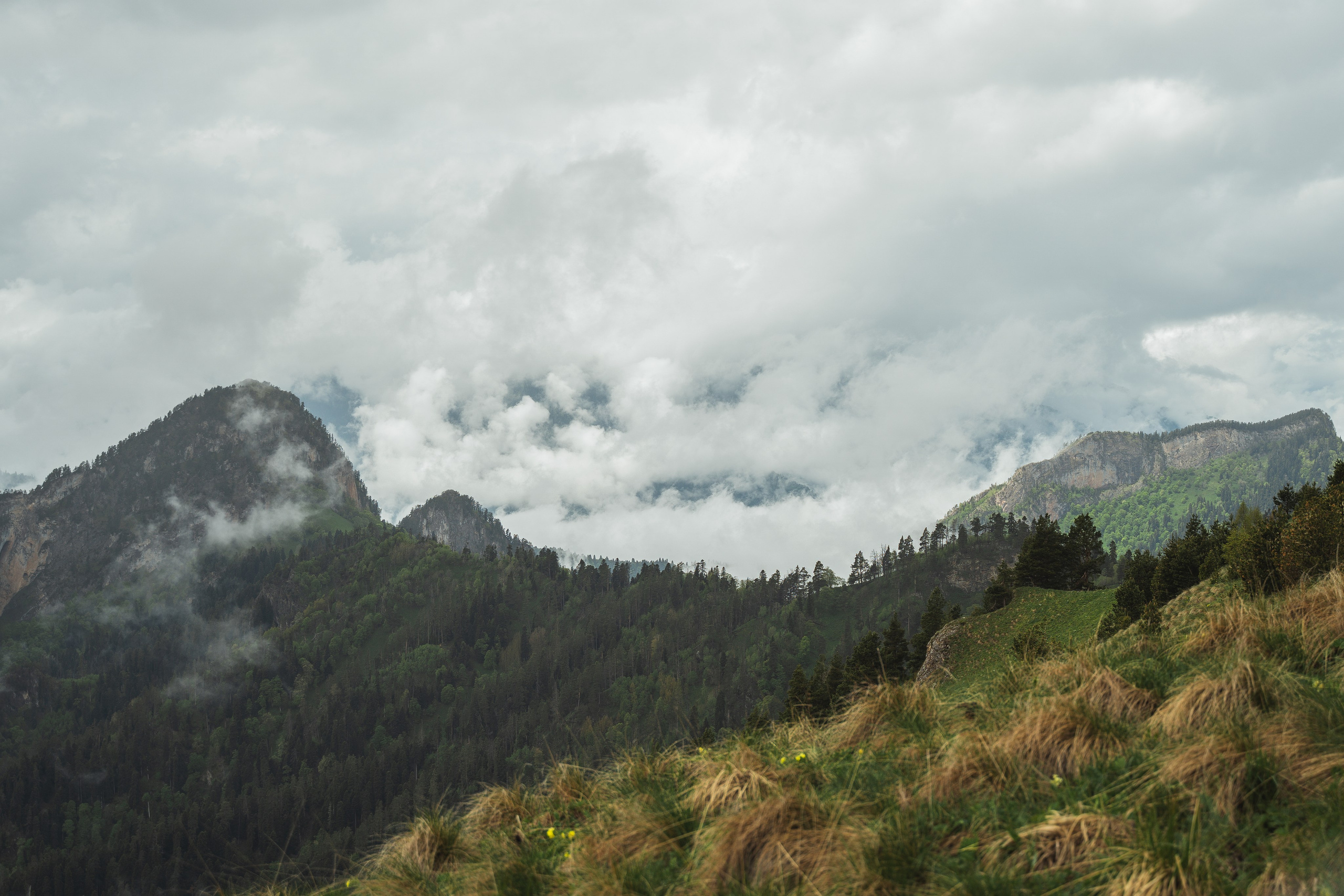 Выбираем гида для похода в горы. Фотограф Ольга Пучкова