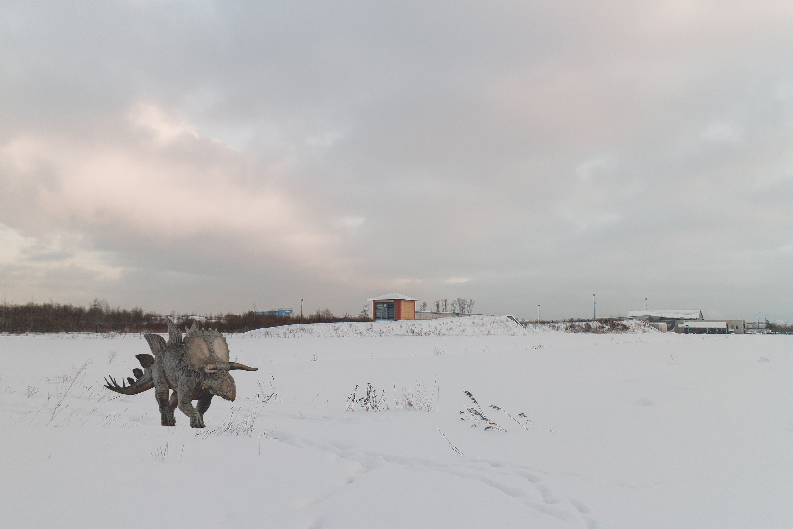 «Я иду искать». Козлова Екатерина. Междисциплинарная визуальная художница