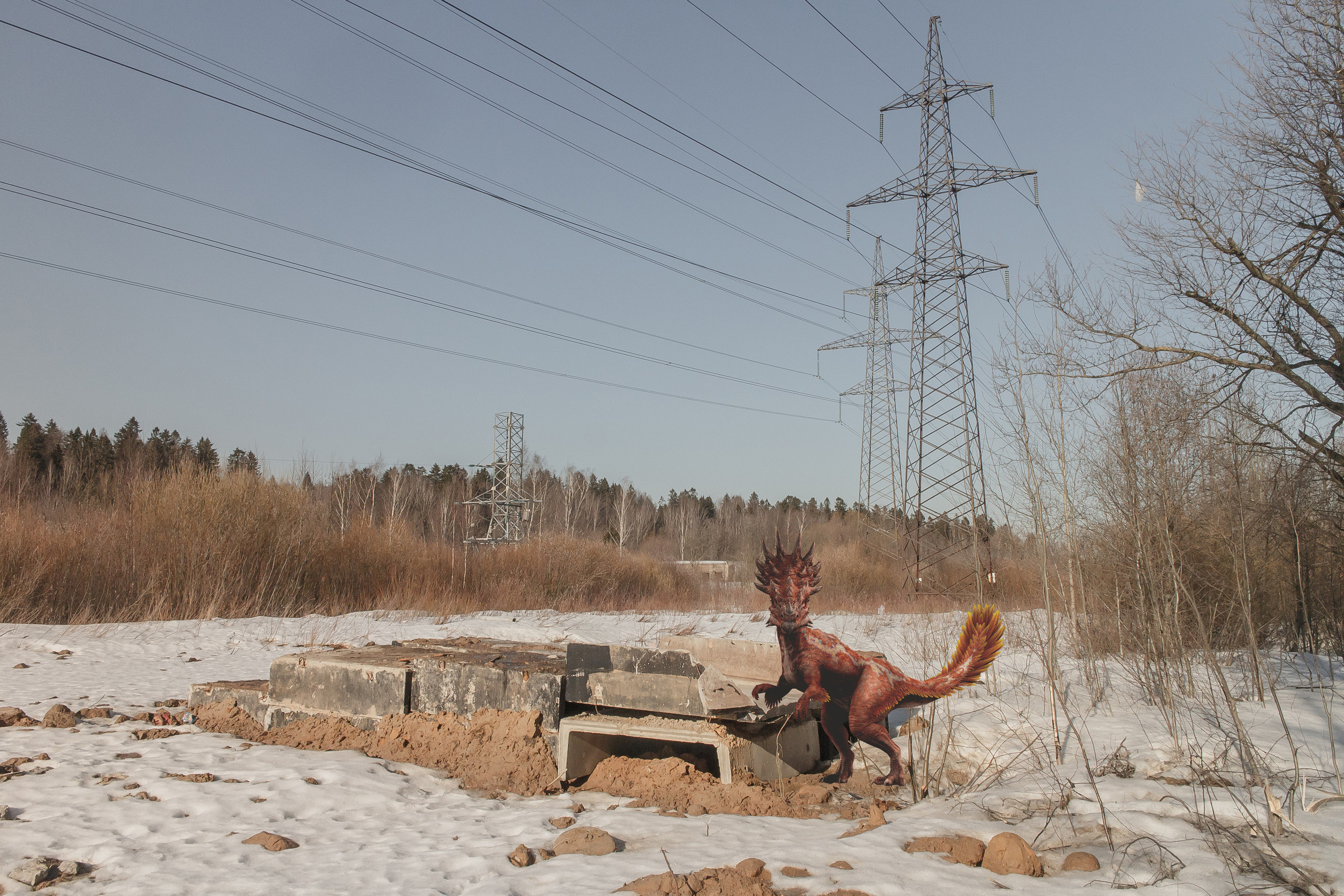 «Я иду искать». Козлова Екатерина. Междисциплинарная визуальная художница