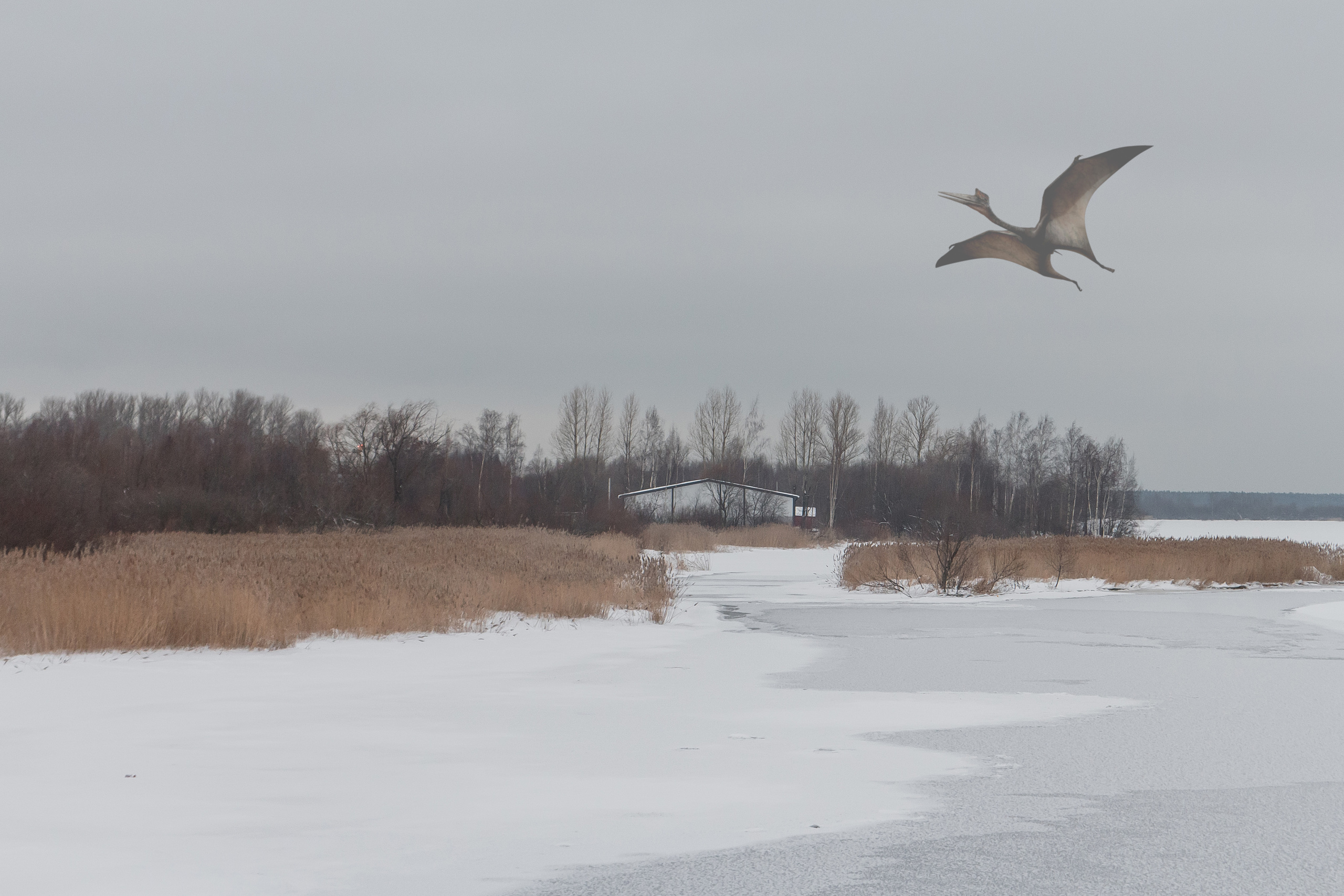 «Я иду искать». Козлова Екатерина. Междисциплинарная визуальная художница