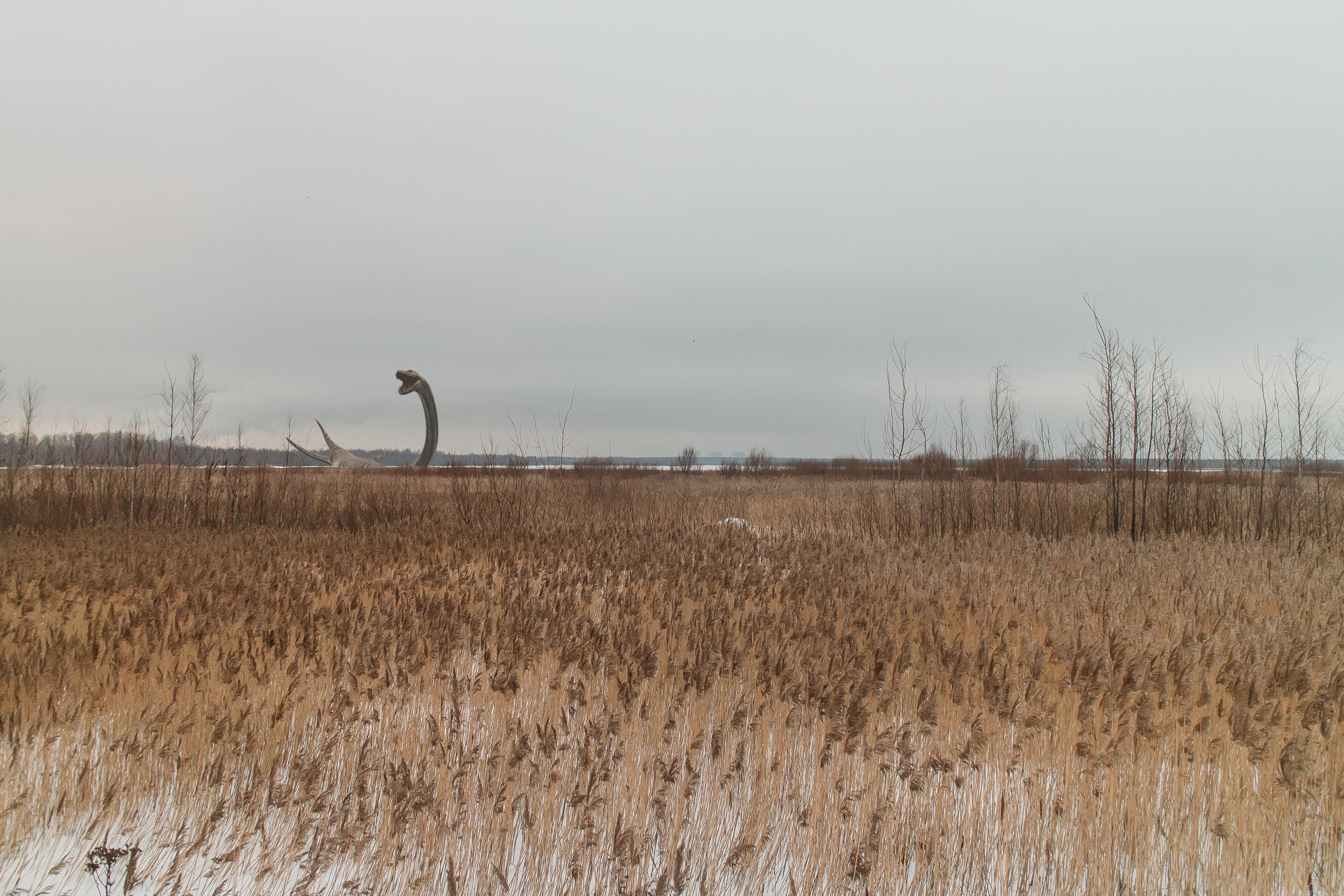 «Я иду искать». Козлова Екатерина. Междисциплинарная визуальная художница