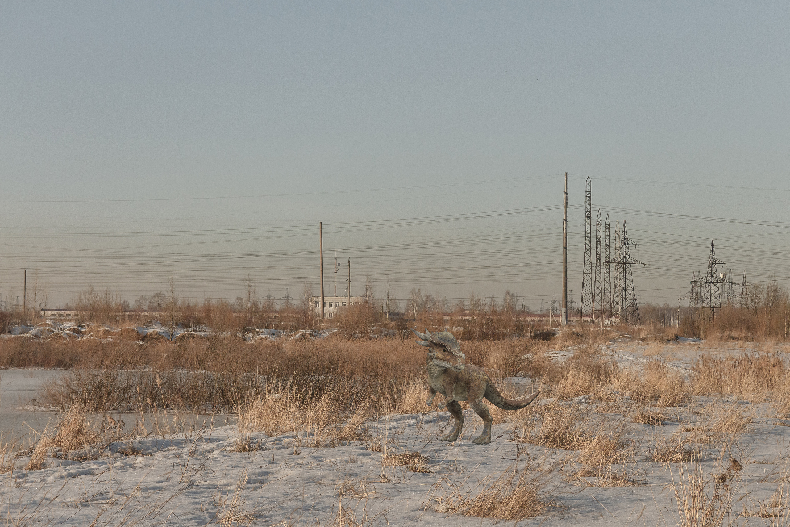 «Я иду искать». Козлова Екатерина. Междисциплинарная визуальная художница