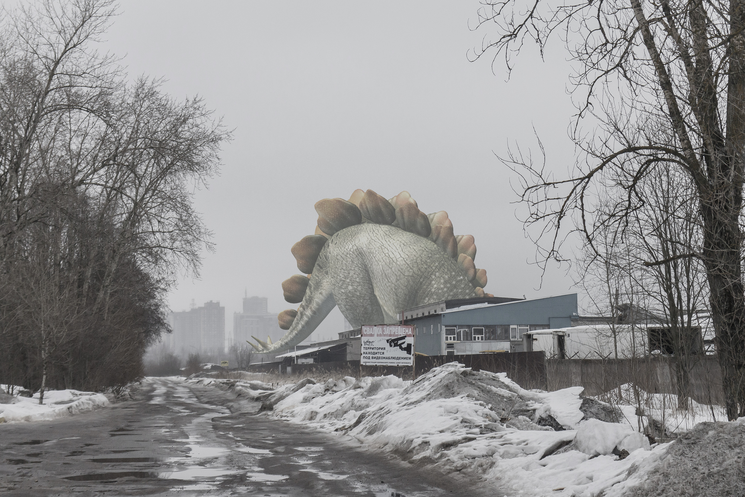 «Я иду искать». Козлова Екатерина. Междисциплинарная визуальная художница