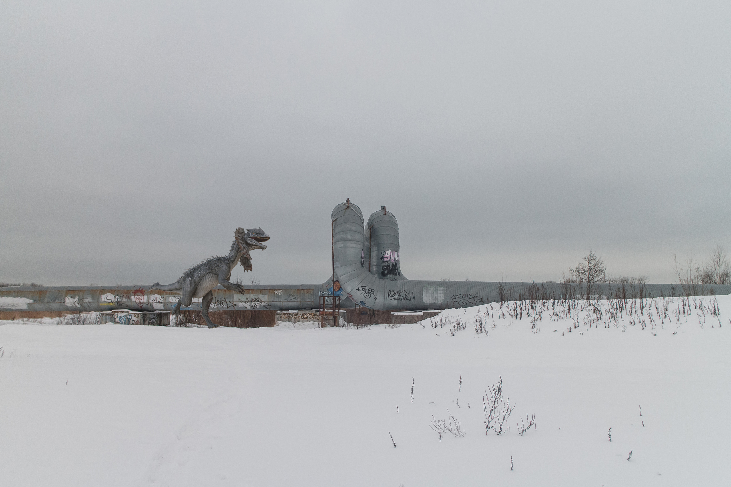 «Я иду искать». Козлова Екатерина. Междисциплинарная визуальная художница