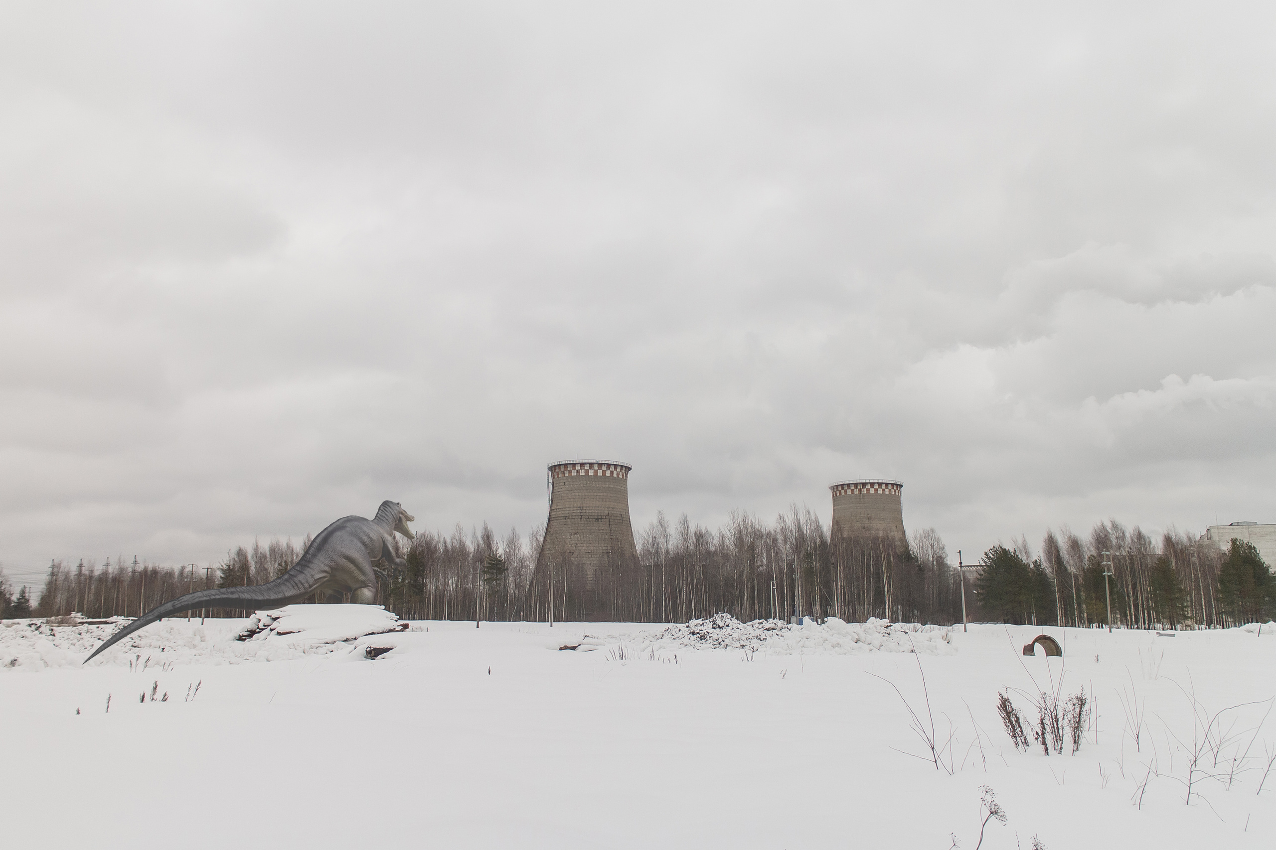 «Я иду искать». Козлова Екатерина. Междисциплинарная визуальная художница