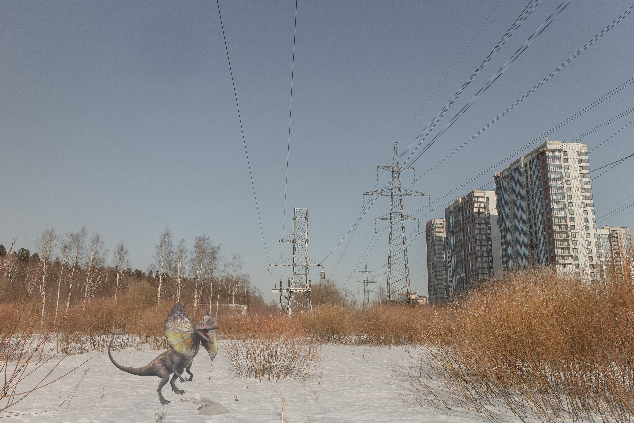 «Я иду искать». Козлова Екатерина. Междисциплинарная визуальная художница