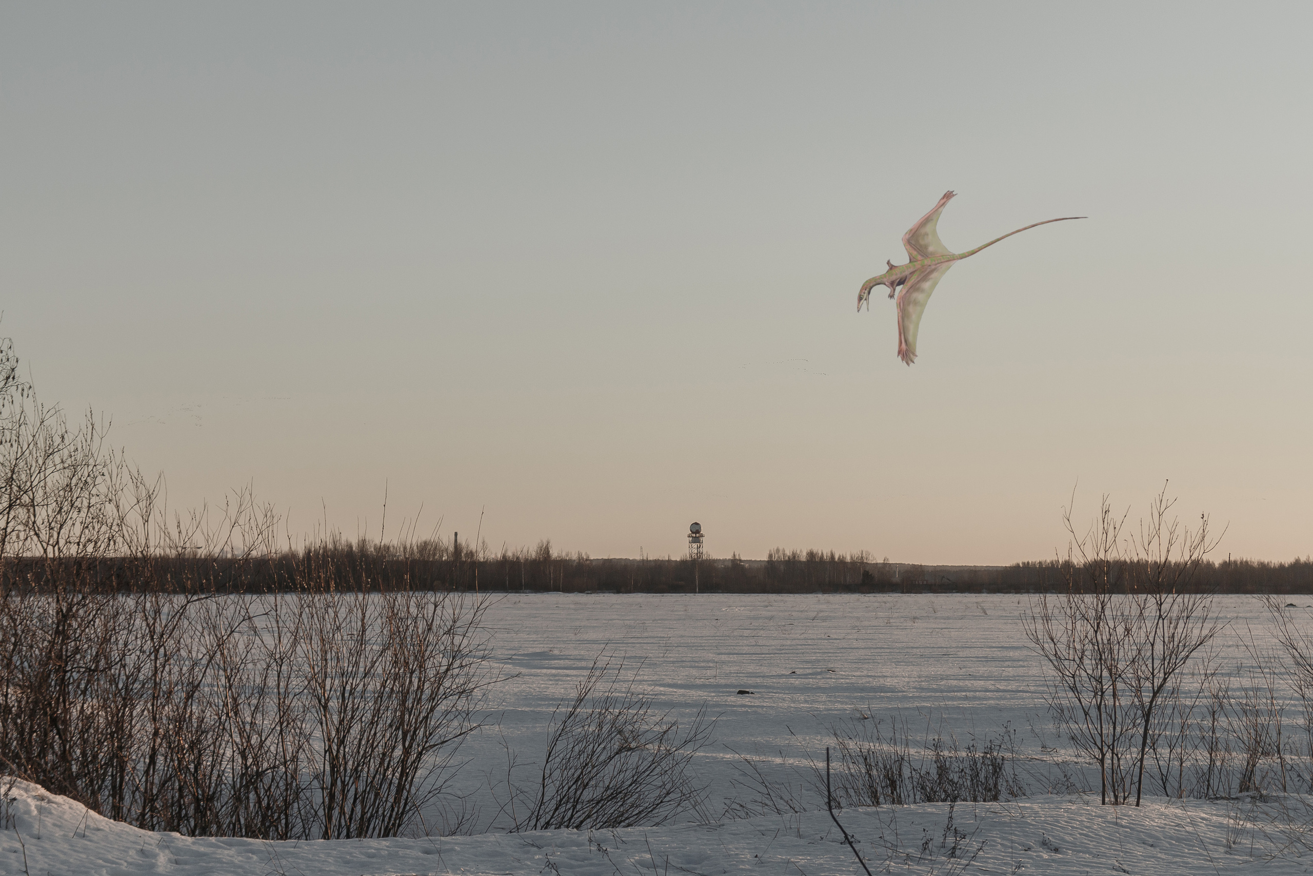 «Я иду искать». Козлова Екатерина. Междисциплинарная визуальная художница
