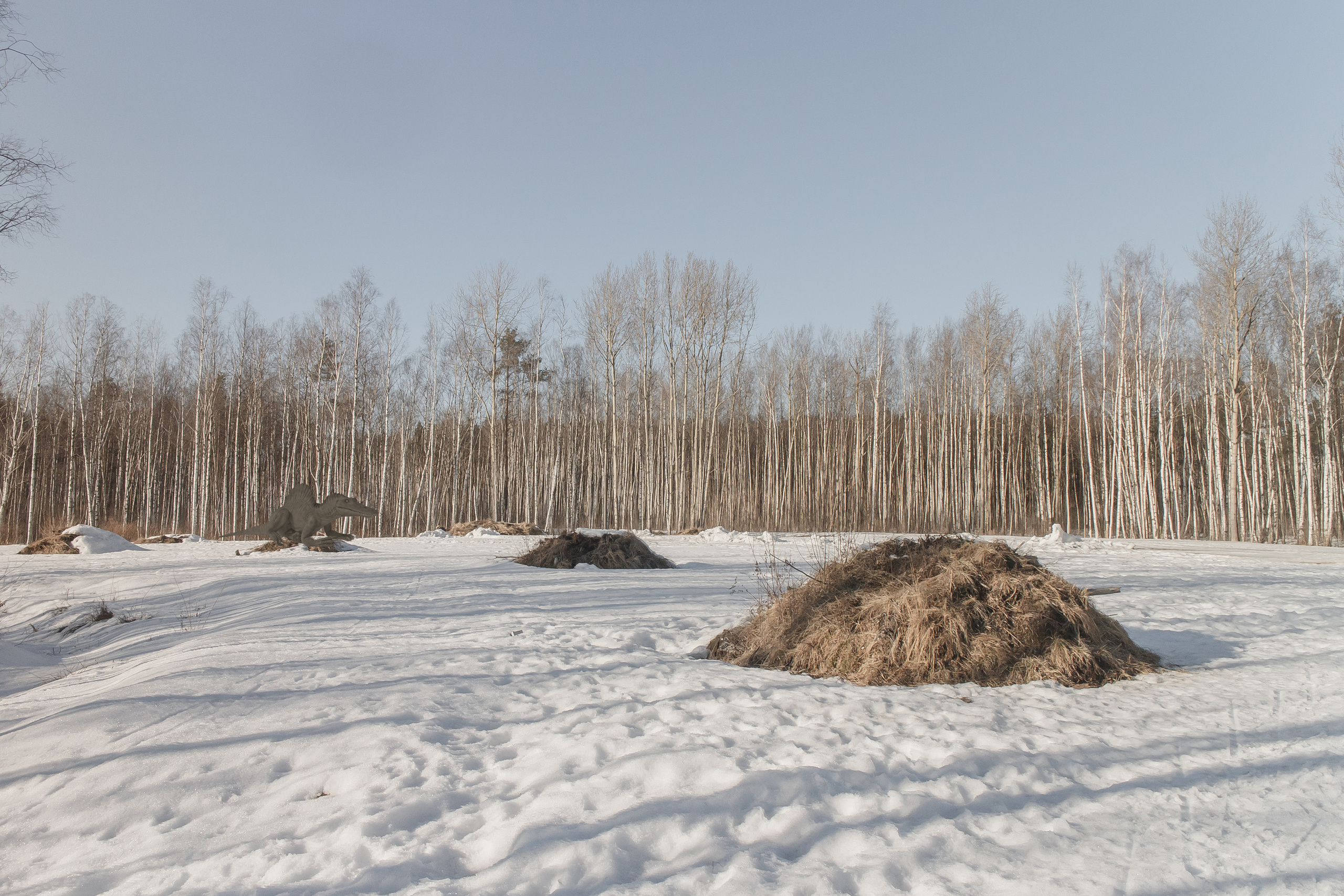 «Я иду искать». Козлова Екатерина. Междисциплинарная визуальная художница