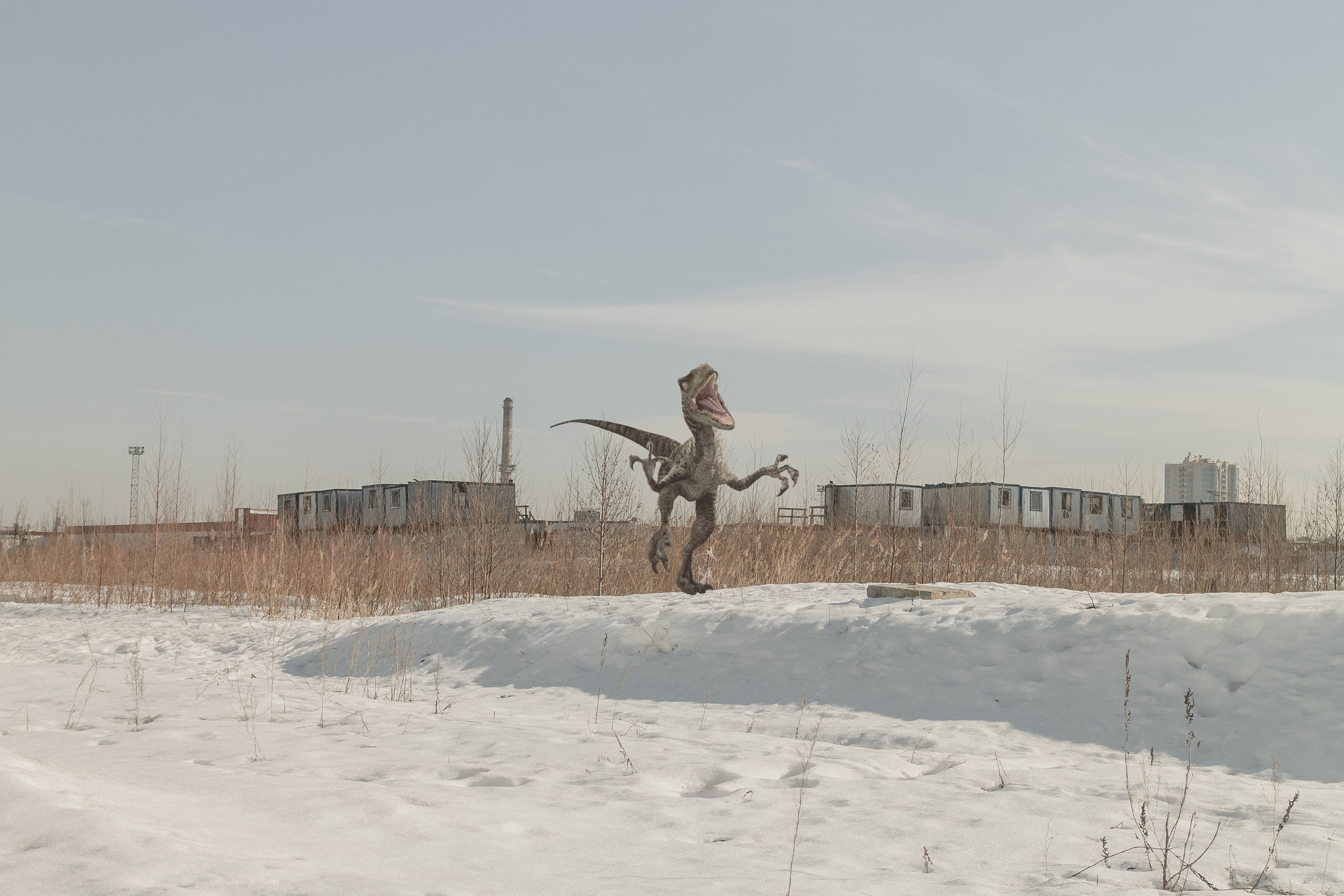 «Я иду искать». Козлова Екатерина. Междисциплинарная визуальная художница