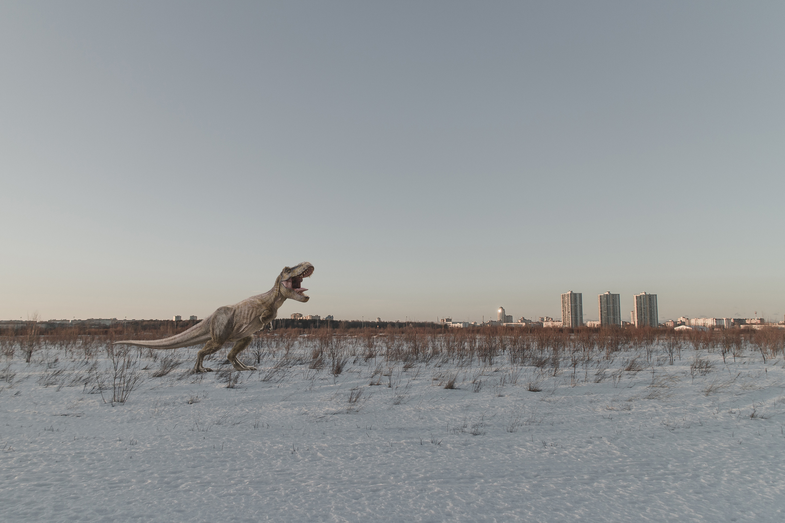 «Я иду искать». Козлова Екатерина. Междисциплинарная визуальная художница